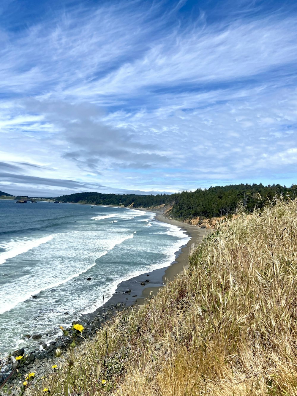 green grass field near sea under blue sky during daytime