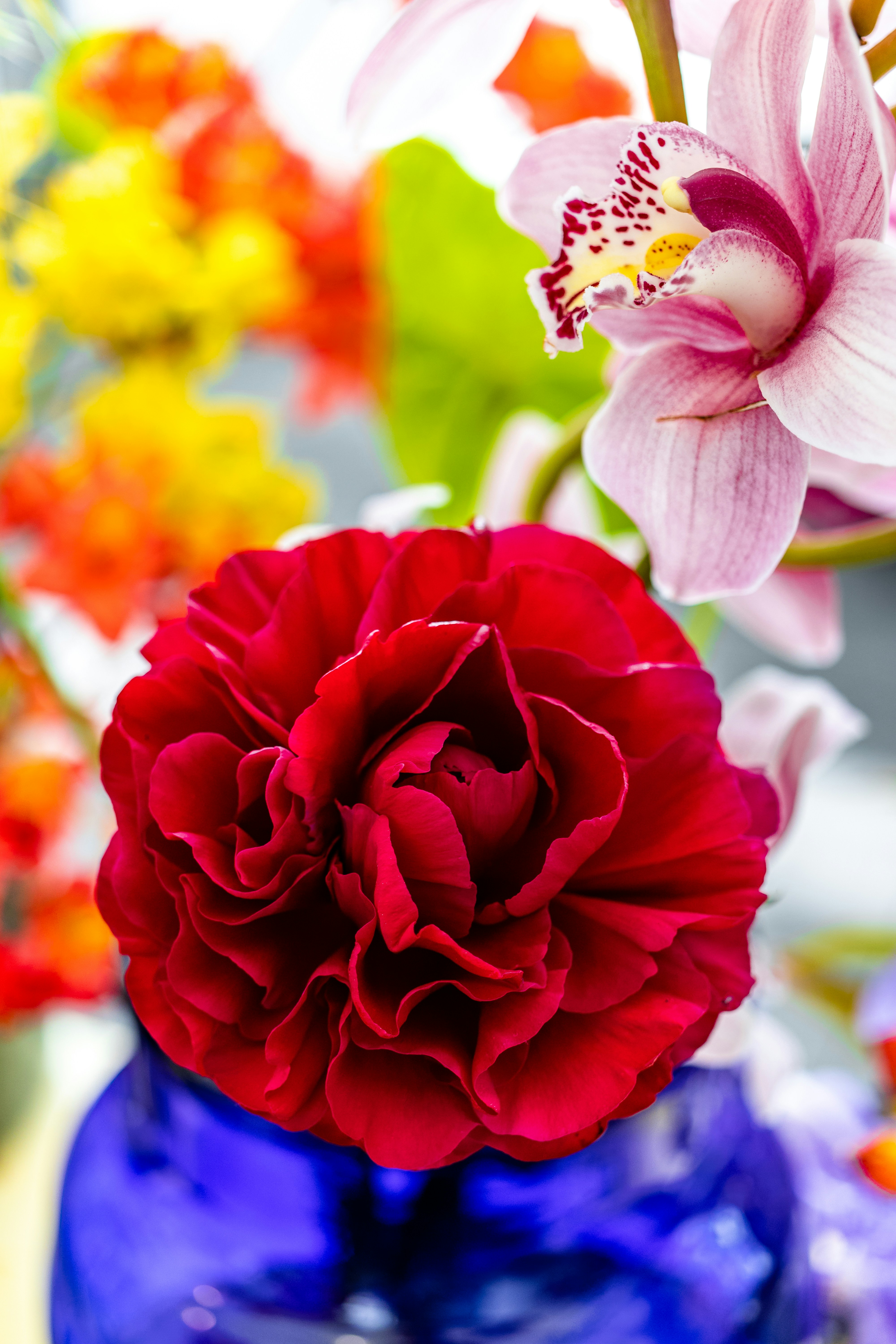 An arrangement of flowers and ornamental greens at the flower show of Landesgartenschau 2020 / 2021 in Ingolstadt.