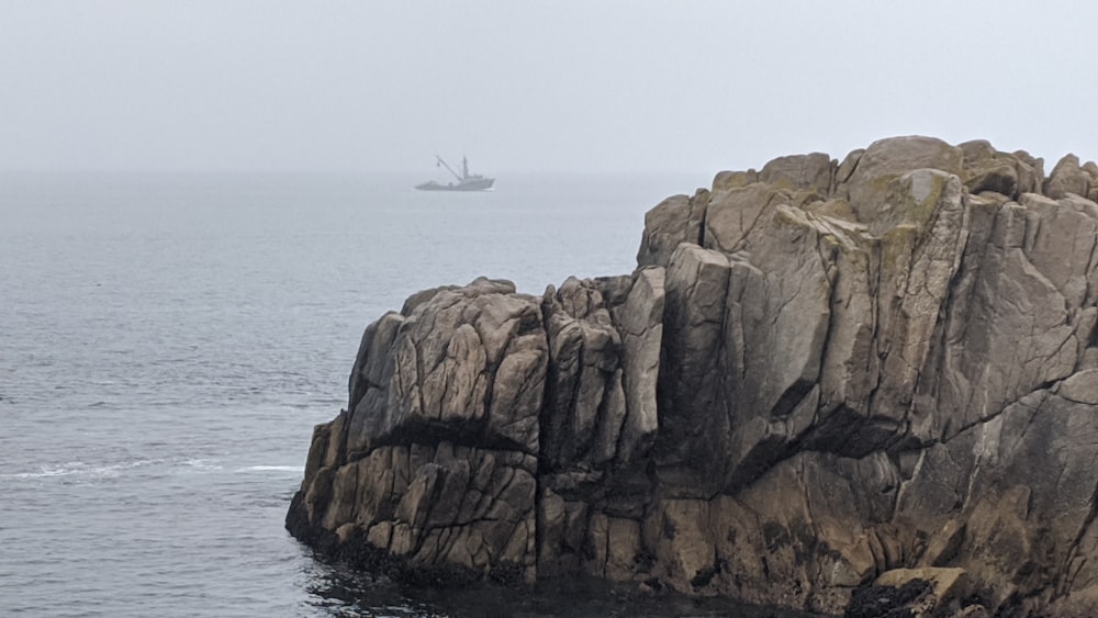 white bird flying over brown rock formation on sea during daytime