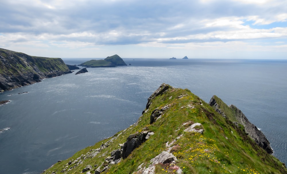 green grass covered mountain near body of water during daytime