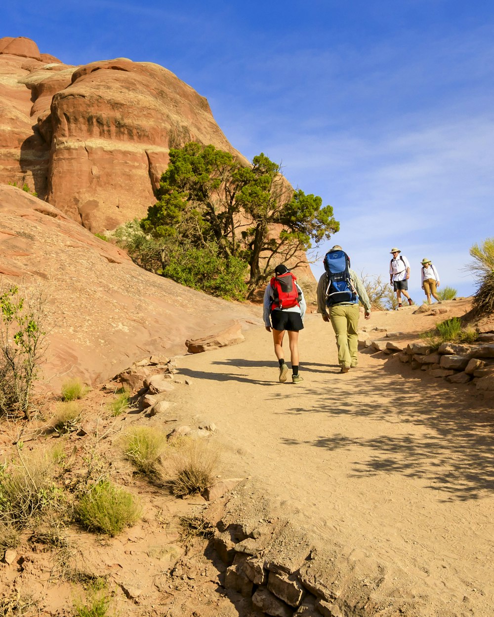 people hiking on brown rocky mountain during daytime