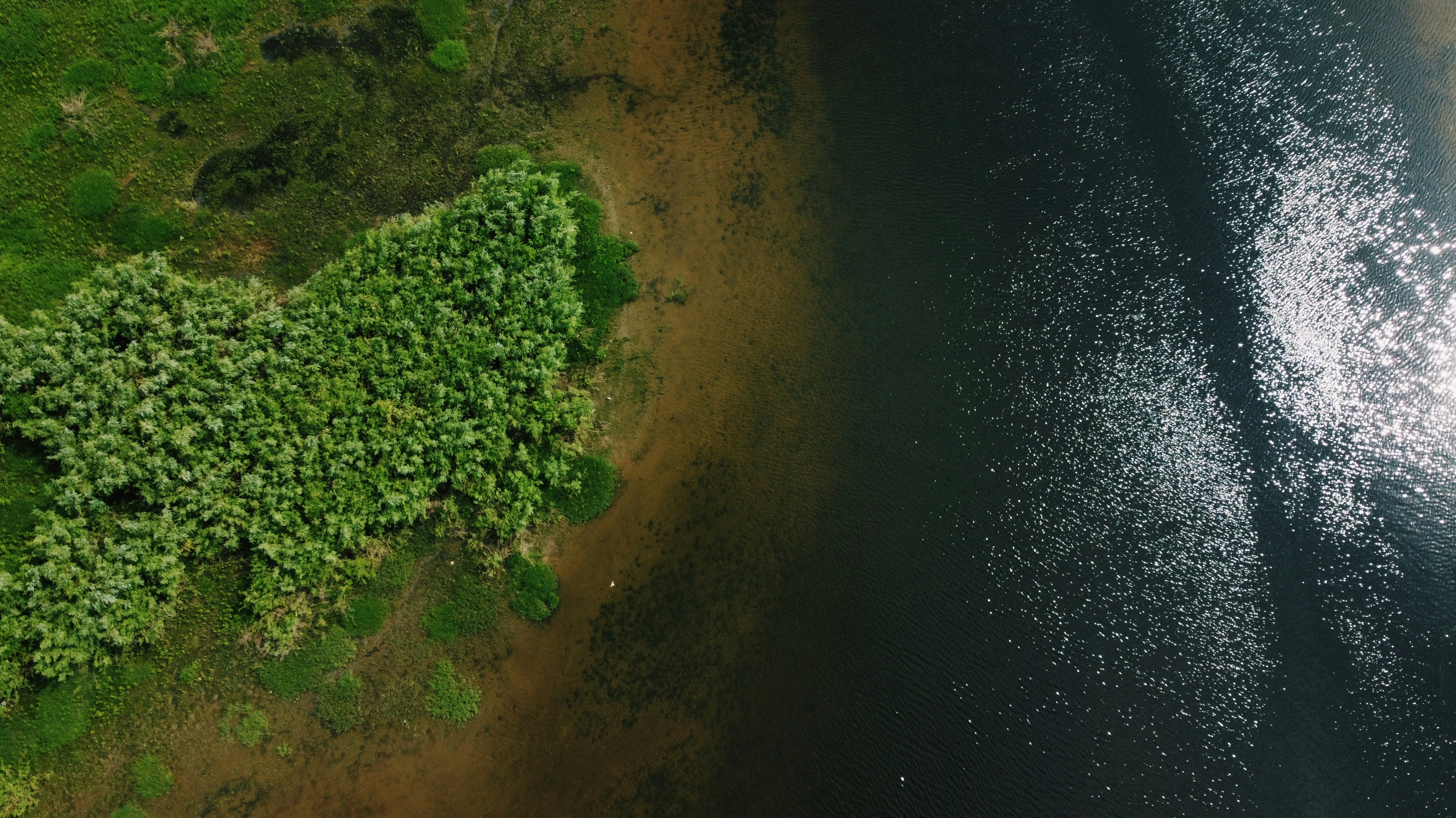 Photo by panga_panga