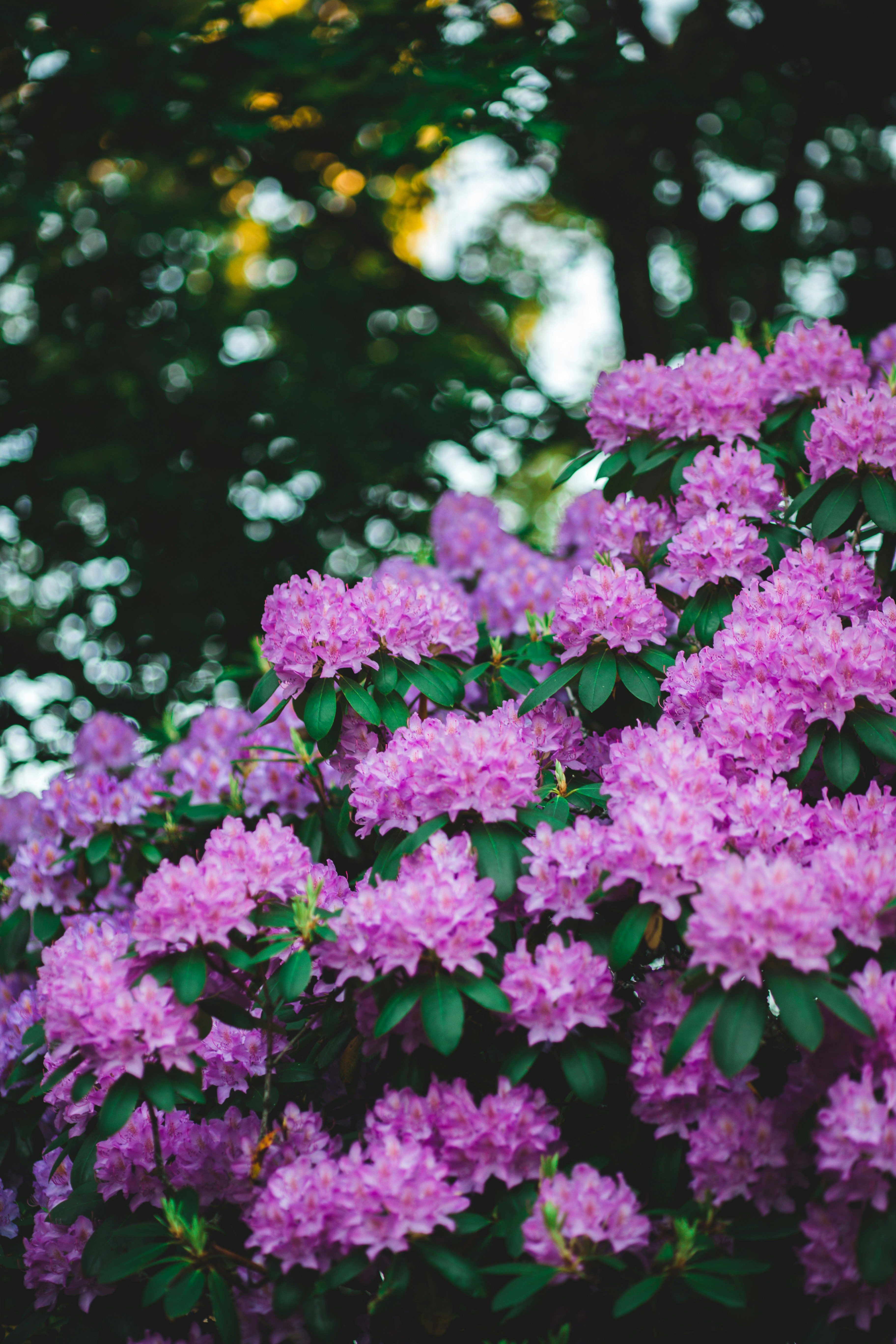 Photo by introspectivedsgn