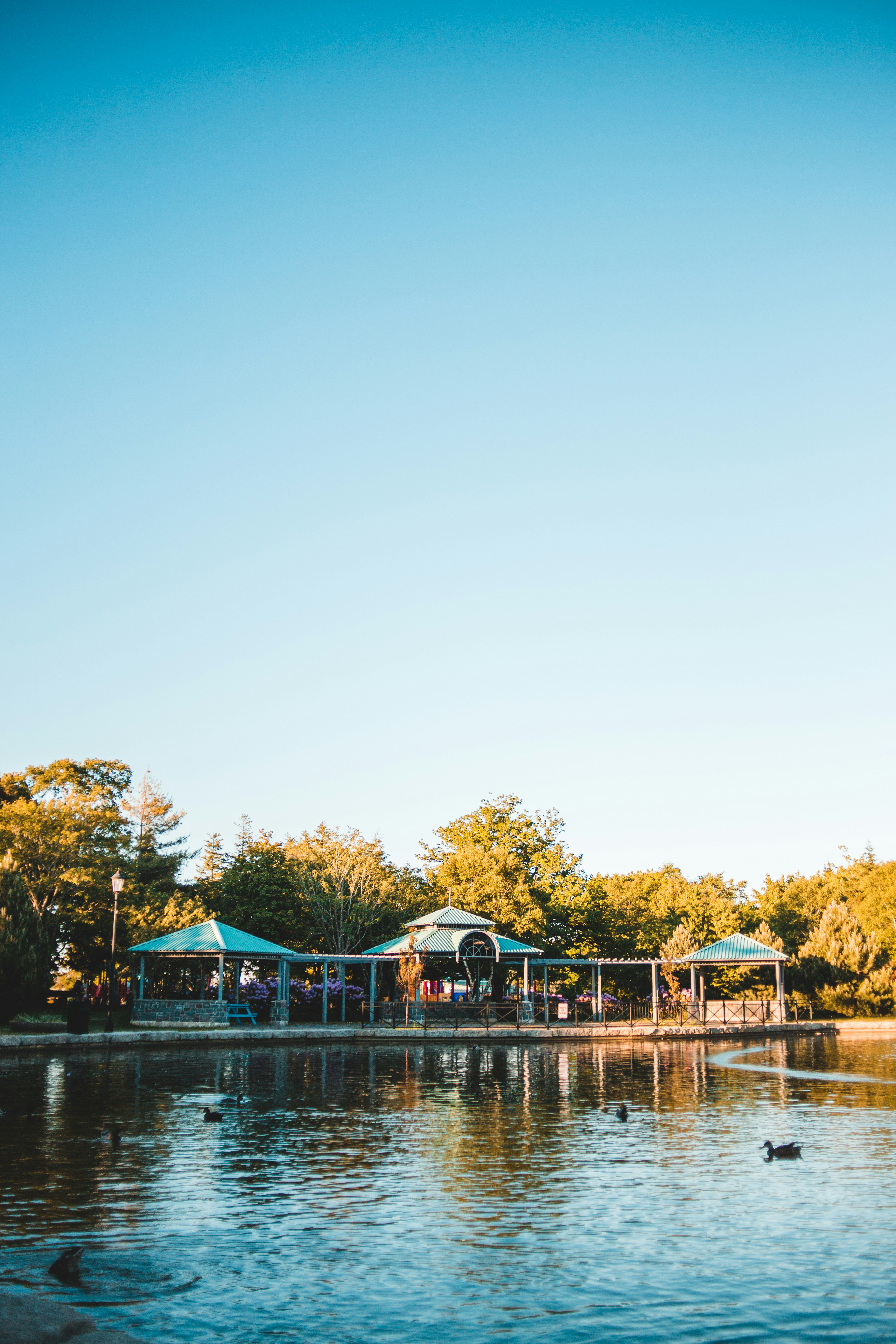 Photo by introspectivedsgn