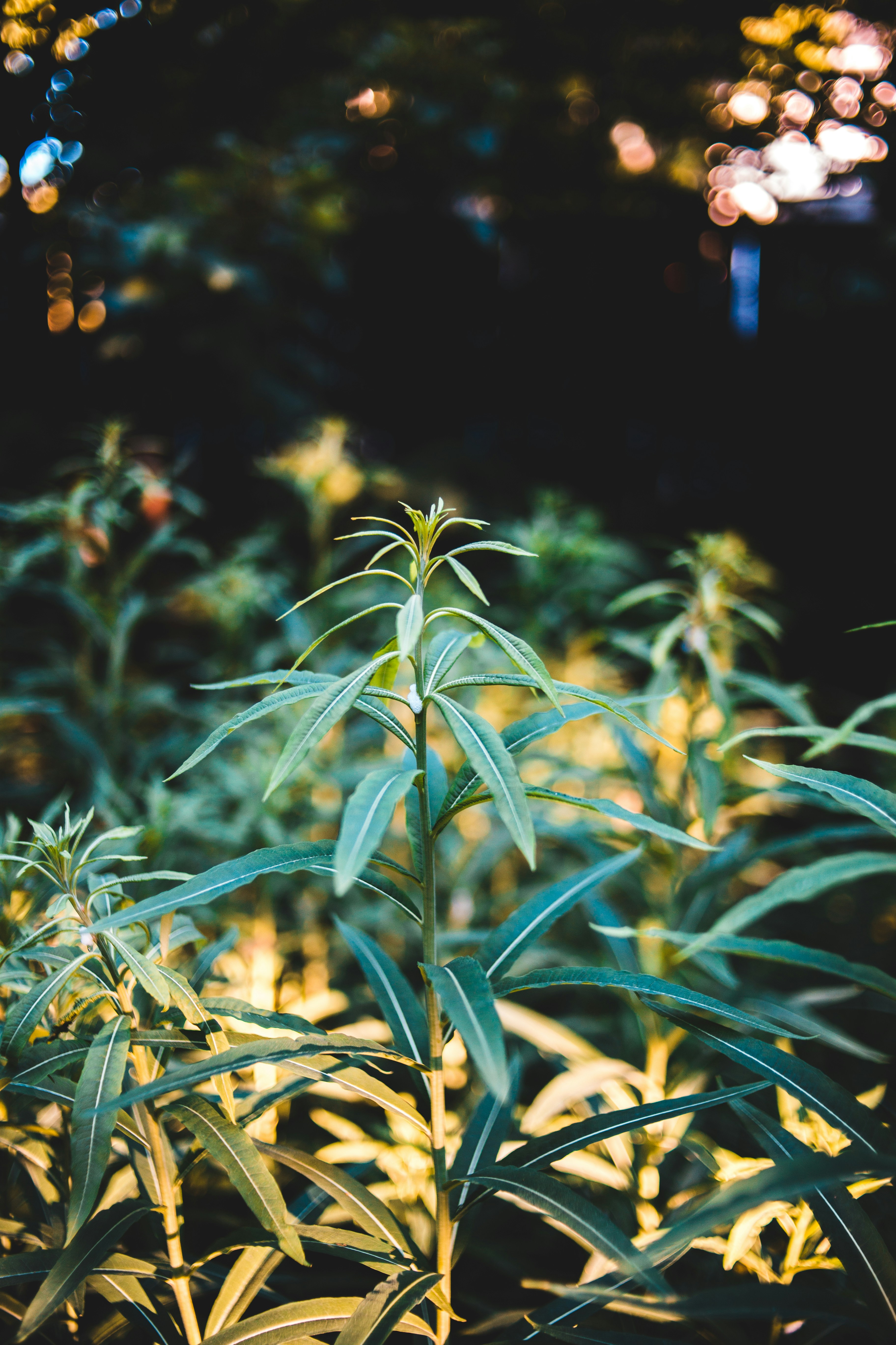 Photo by introspectivedsgn