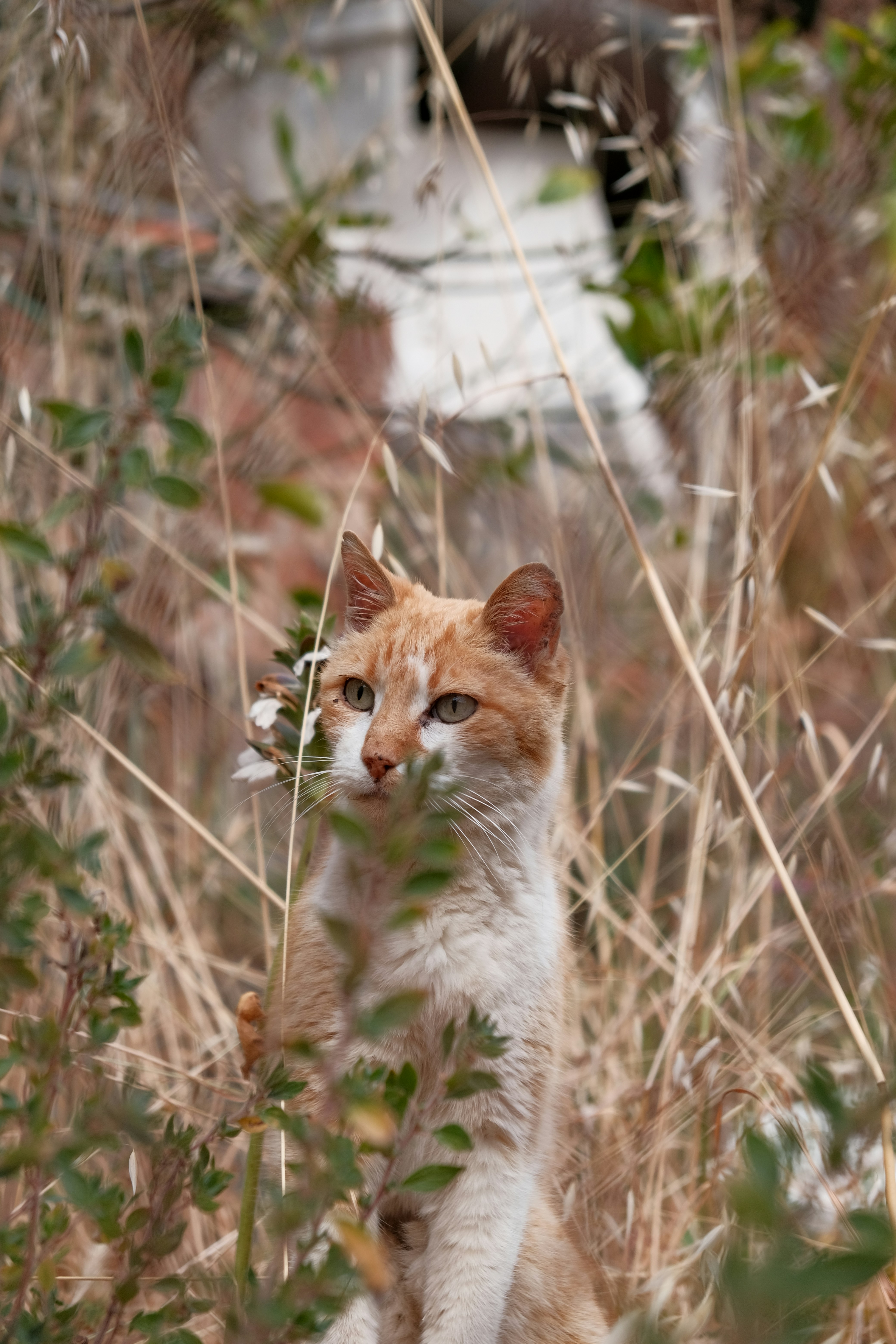 Photo by aleksandar_akr