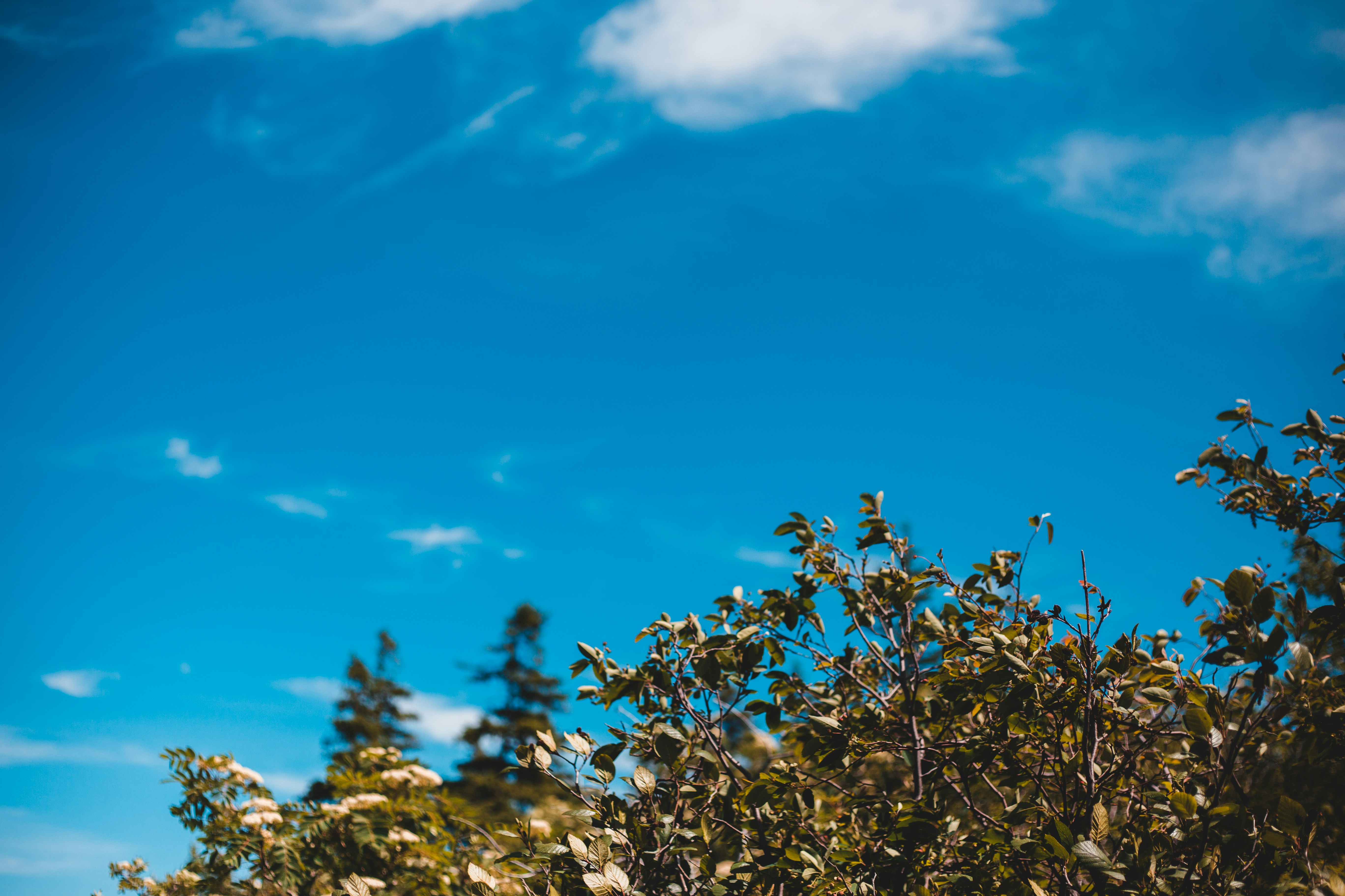 Photo by introspectivedsgn