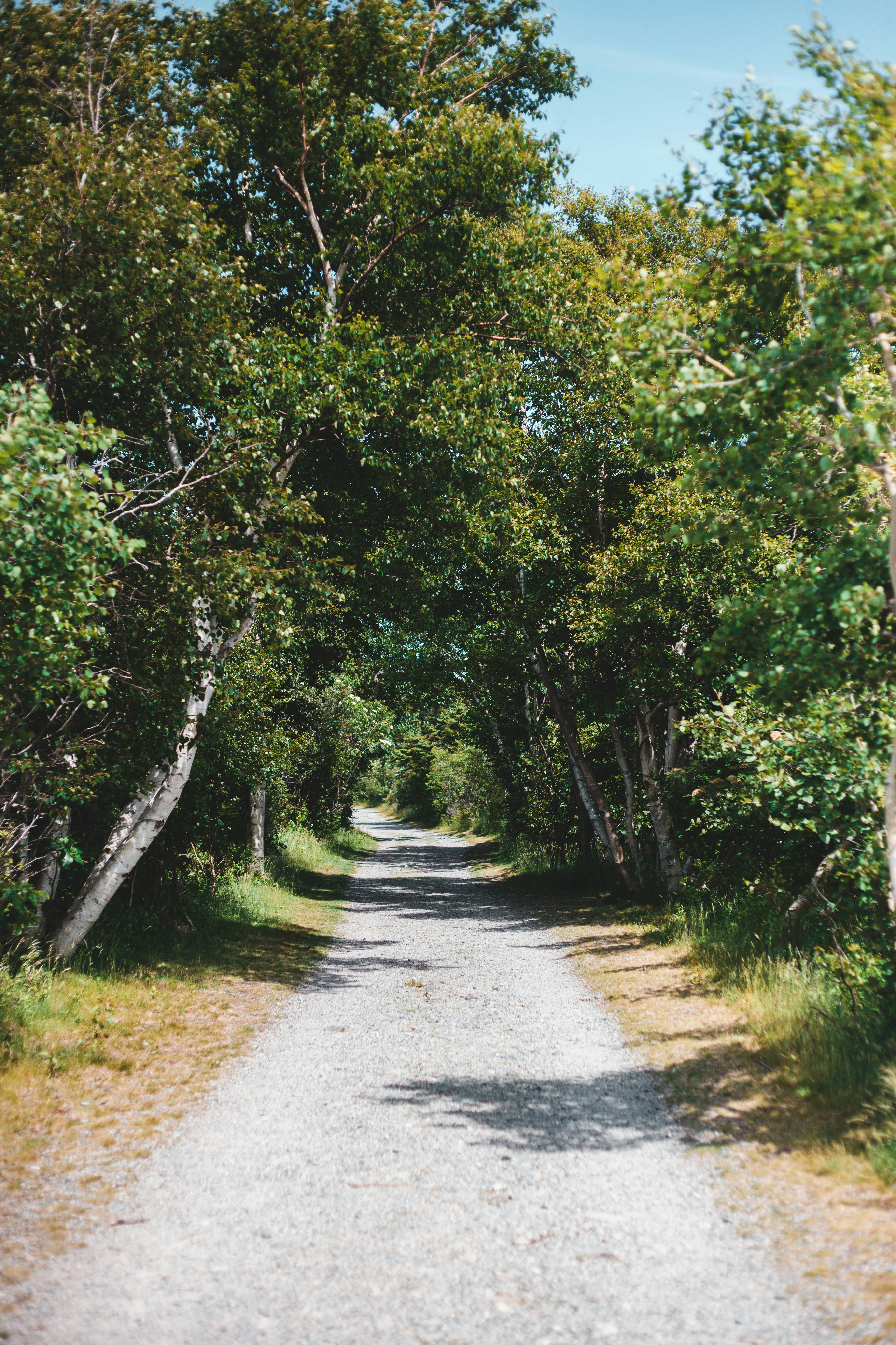 Photo by introspectivedsgn