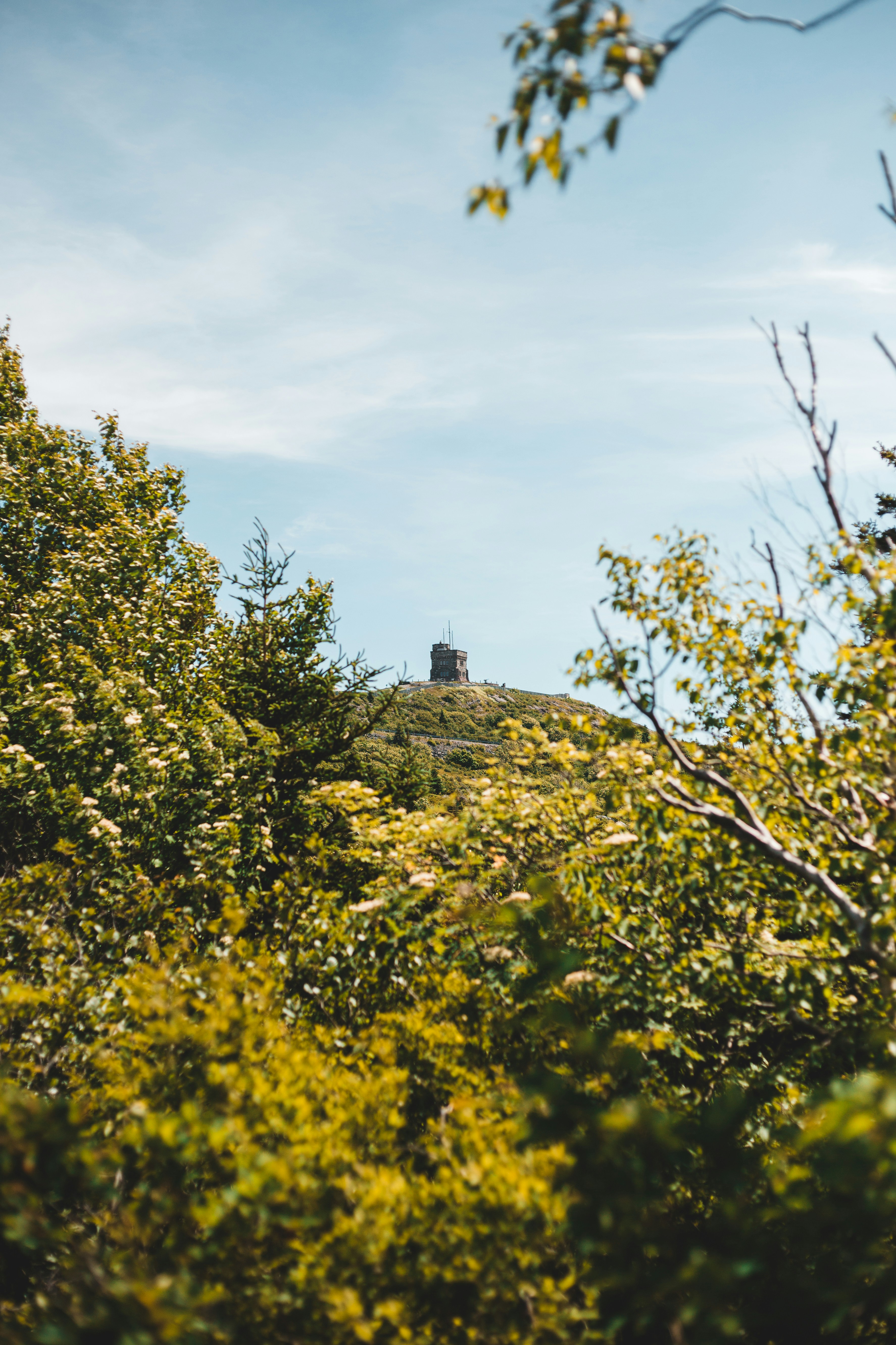 Photo by introspectivedsgn