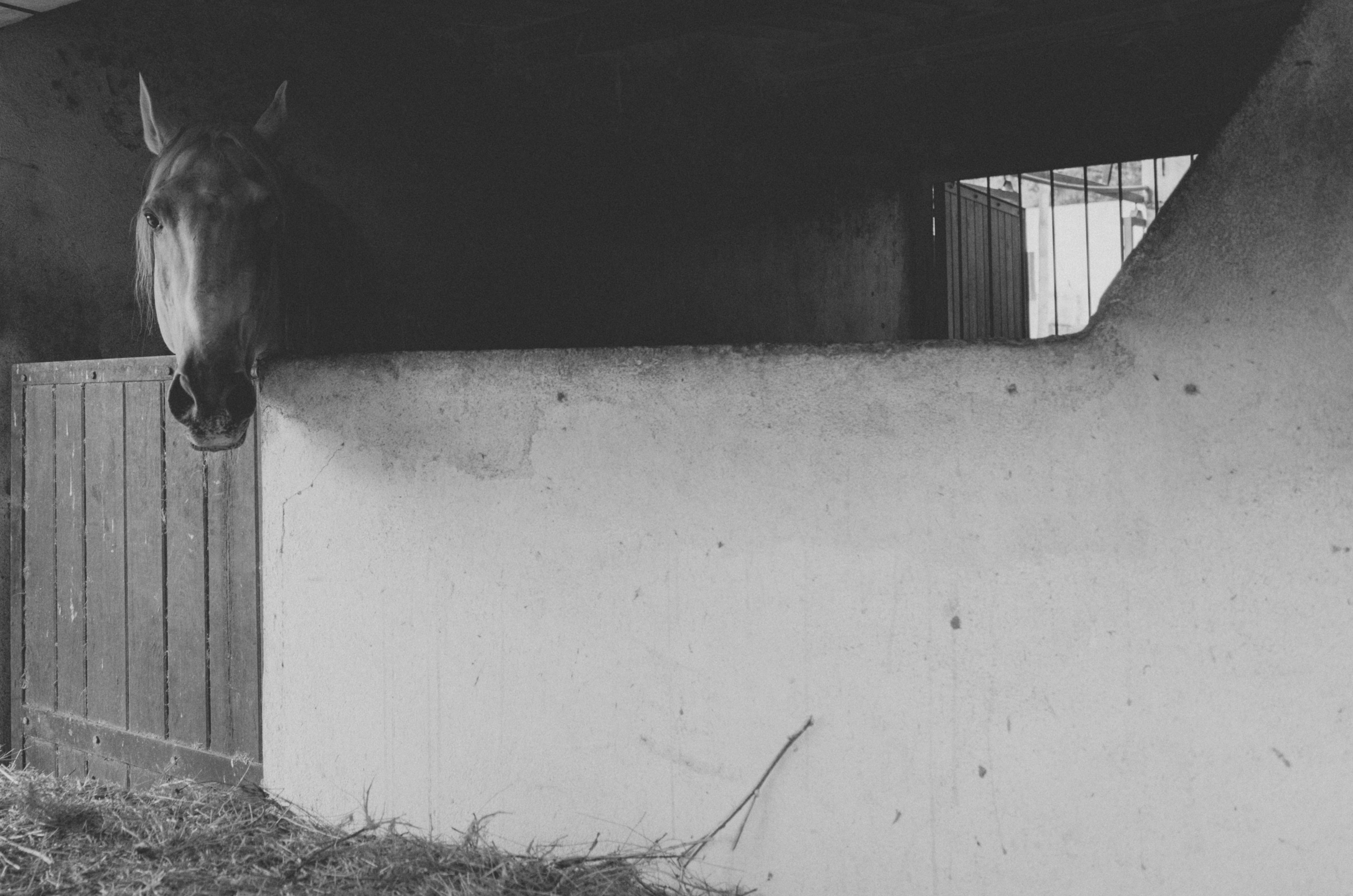 photo-1624827609520-069800e84724?ixid=M3wxMjA3fDB8MXxzZWFyY2h8N3x8JUQ4JUE3JUQ4JUIzJUQ4JUE4JTIwJUQ4JUE4JUQ4JUFFJUQ4JUE3JUQ4JUIxJTIwJUQ5JTg1JUQ5JTg3JUQ5JTg1JUUyJTgwJThDJUQ4JUFBJUQ4JUIxJTIwJUQ4JUE3JUQ4JUIzJUQ4JUFBJTIwJURCJThDJUQ4JUE3JTIwJURBJUFGJUQ4JUI0JUQ4JUFBJUQ4JUE3JUQ5JTg4JUQ4JUIxJTIwJUQ4JUFFJUQ5JTg4JUQ4JUFGJUQ4JUIxJUQ5JTg4JUQ4JTlGfGVufDB8fHx8MTc2MDQwOTA4NHww\u0026ixlib=rb-4.1.0