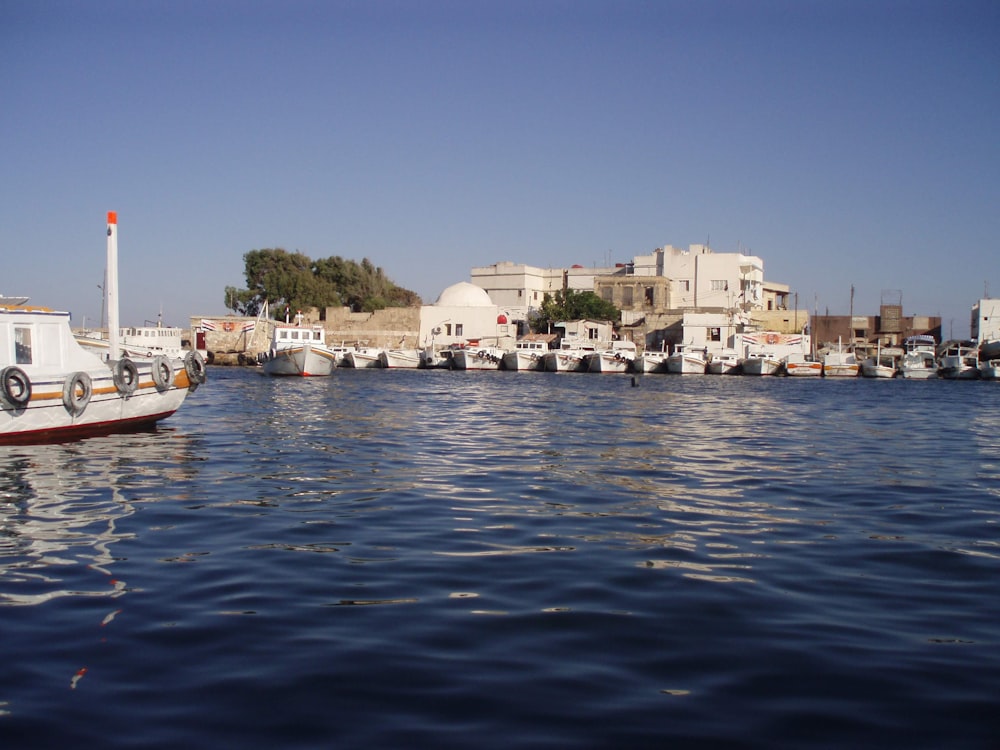 white and brown boat on water near city buildings during daytime