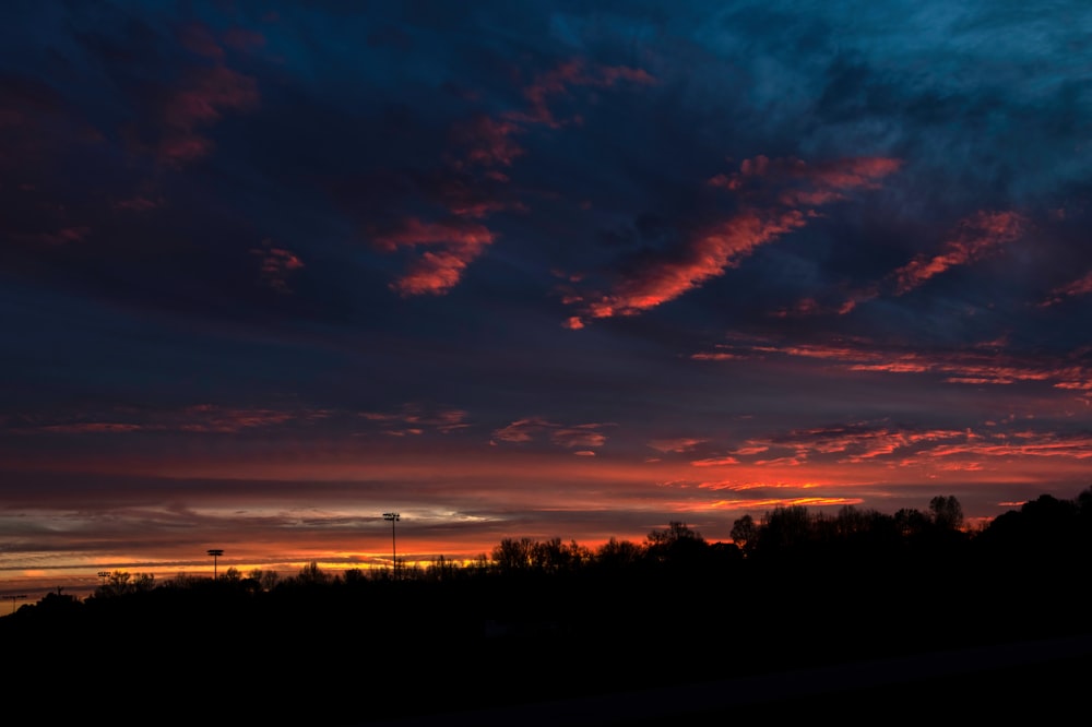 silhouette of trees under cloudy sky during sunset