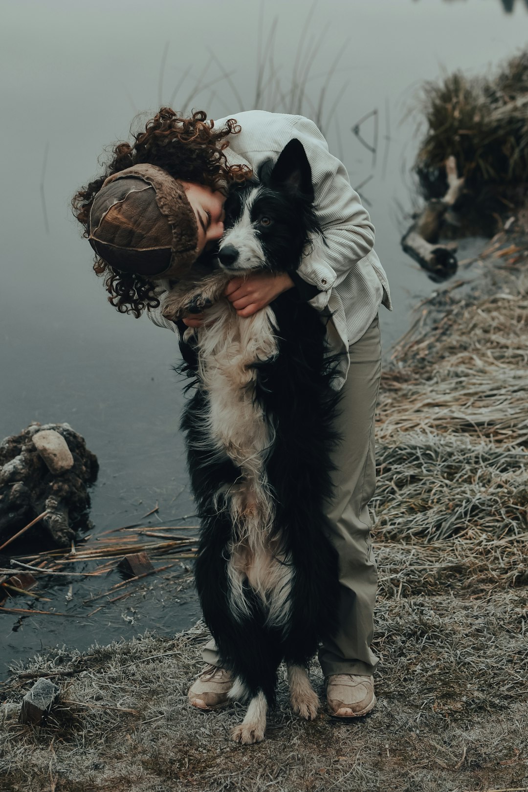 black and white border collie with brown basket on head lying on ground