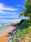 green palm tree near sea under blue sky during daytime