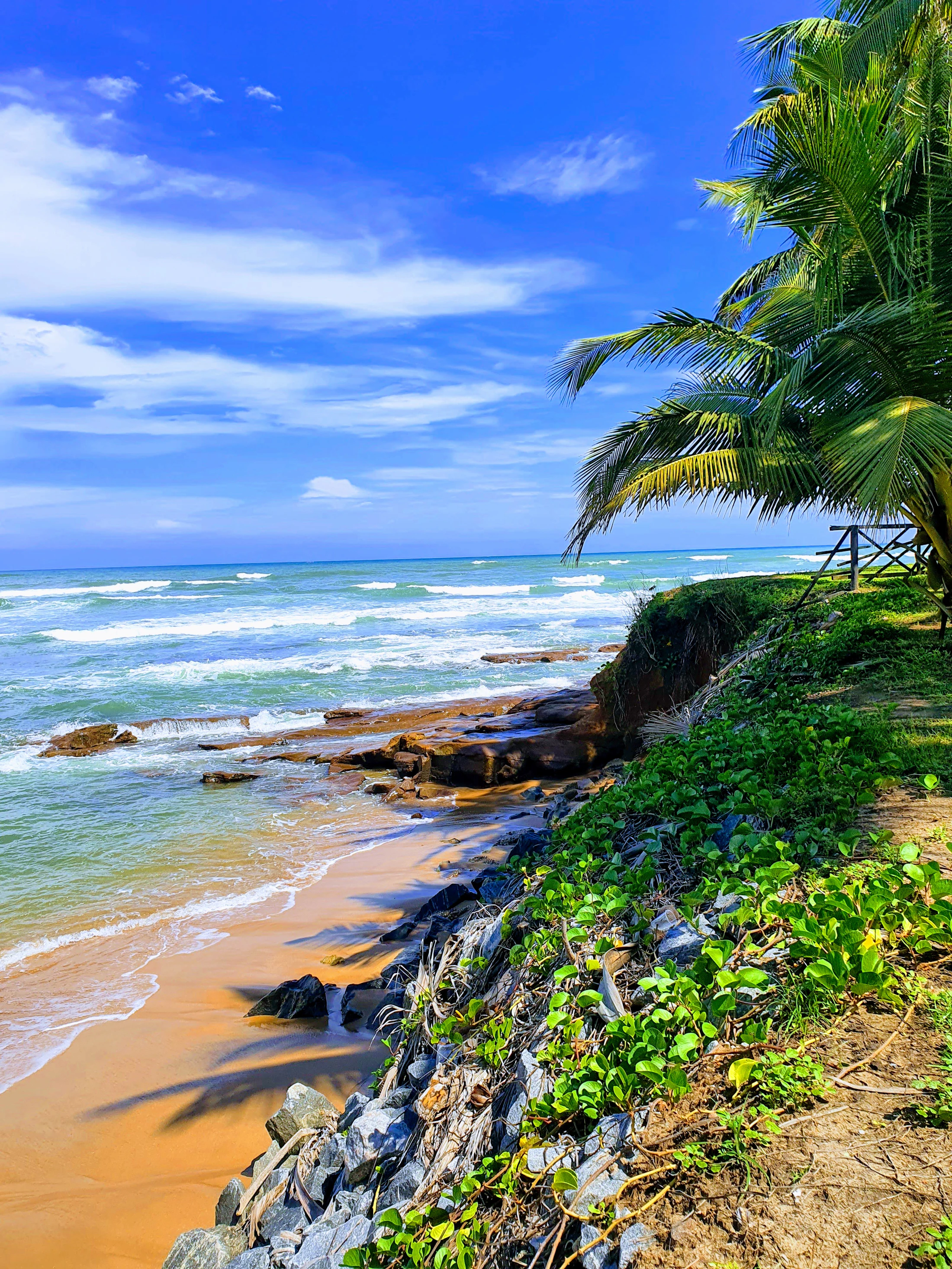 Palm-fringed Ghanaian coastline at Takoradi