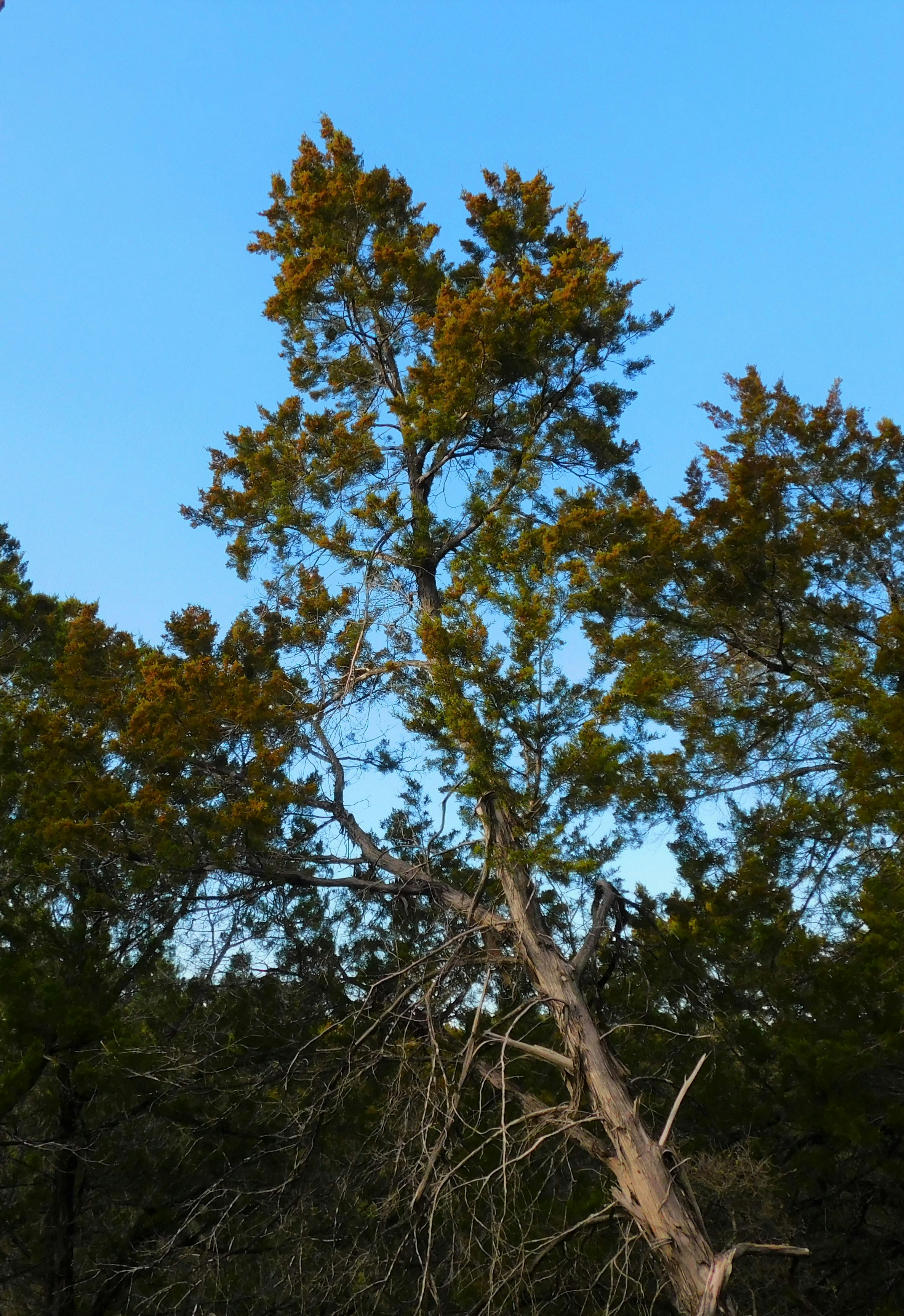 Photo by tbo_desadier