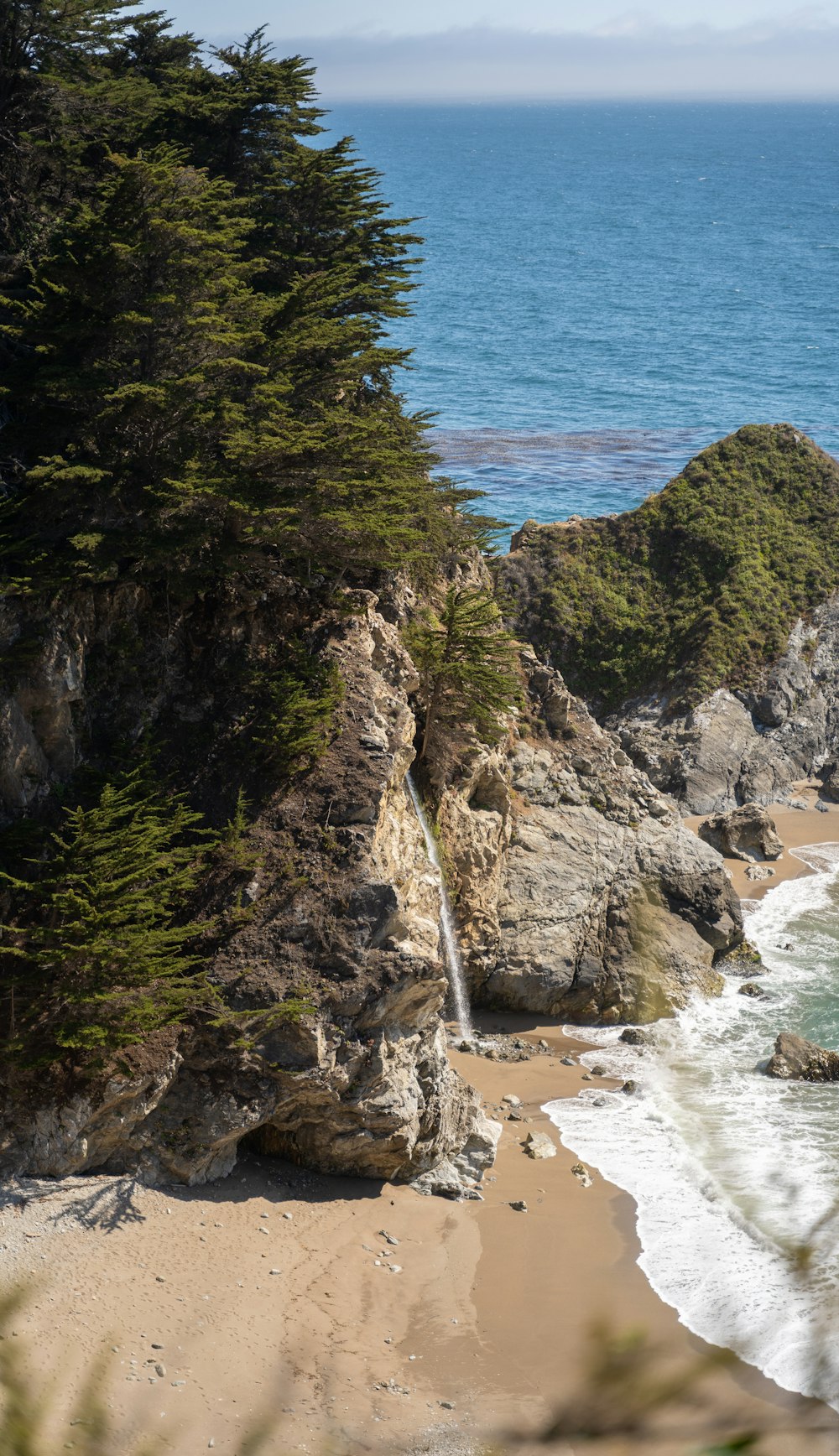 green trees on brown rocky mountain beside blue sea during daytime