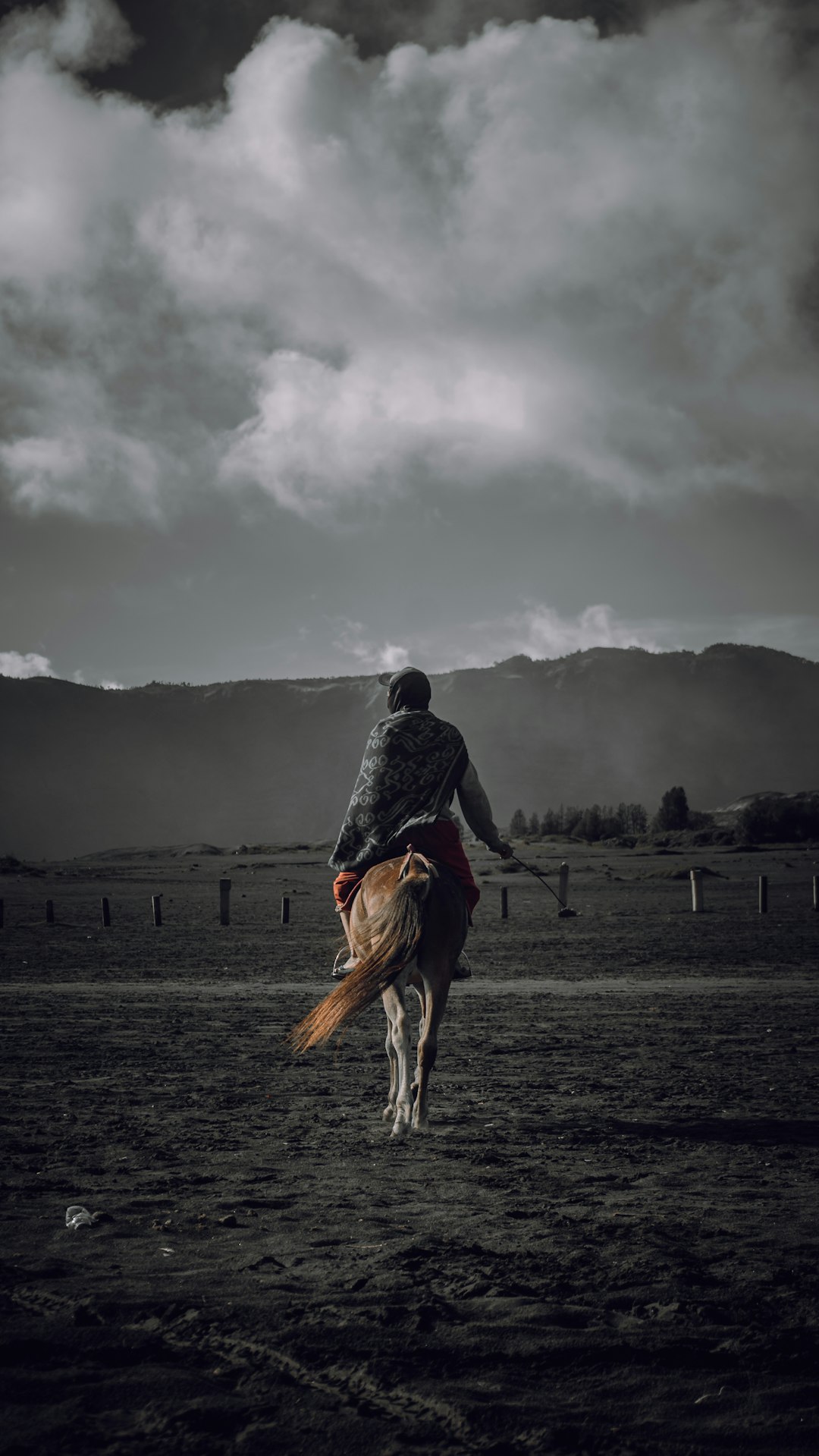 man riding brown horse on green grass field under cloudy sky during daytime