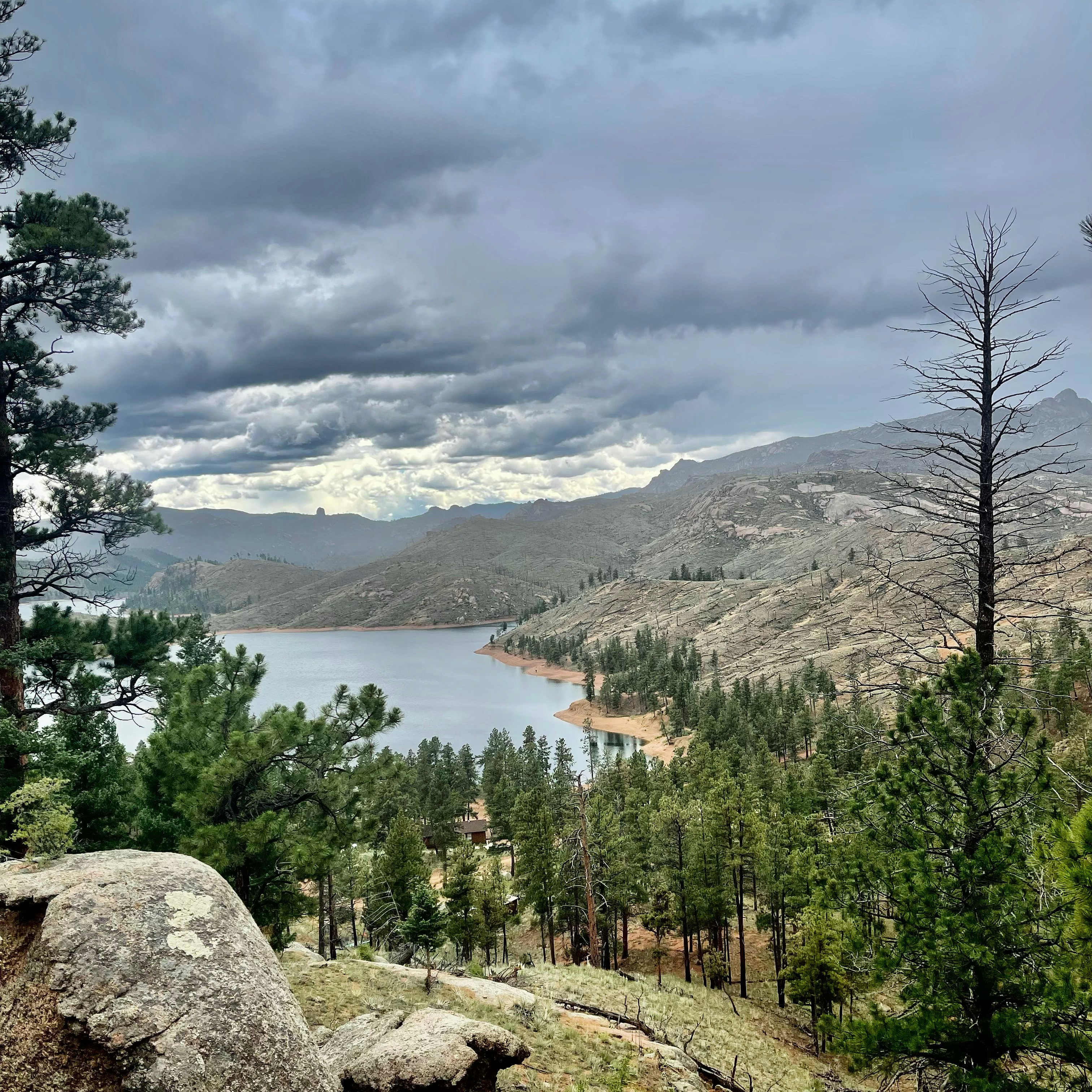 Photo by laitonbarbo