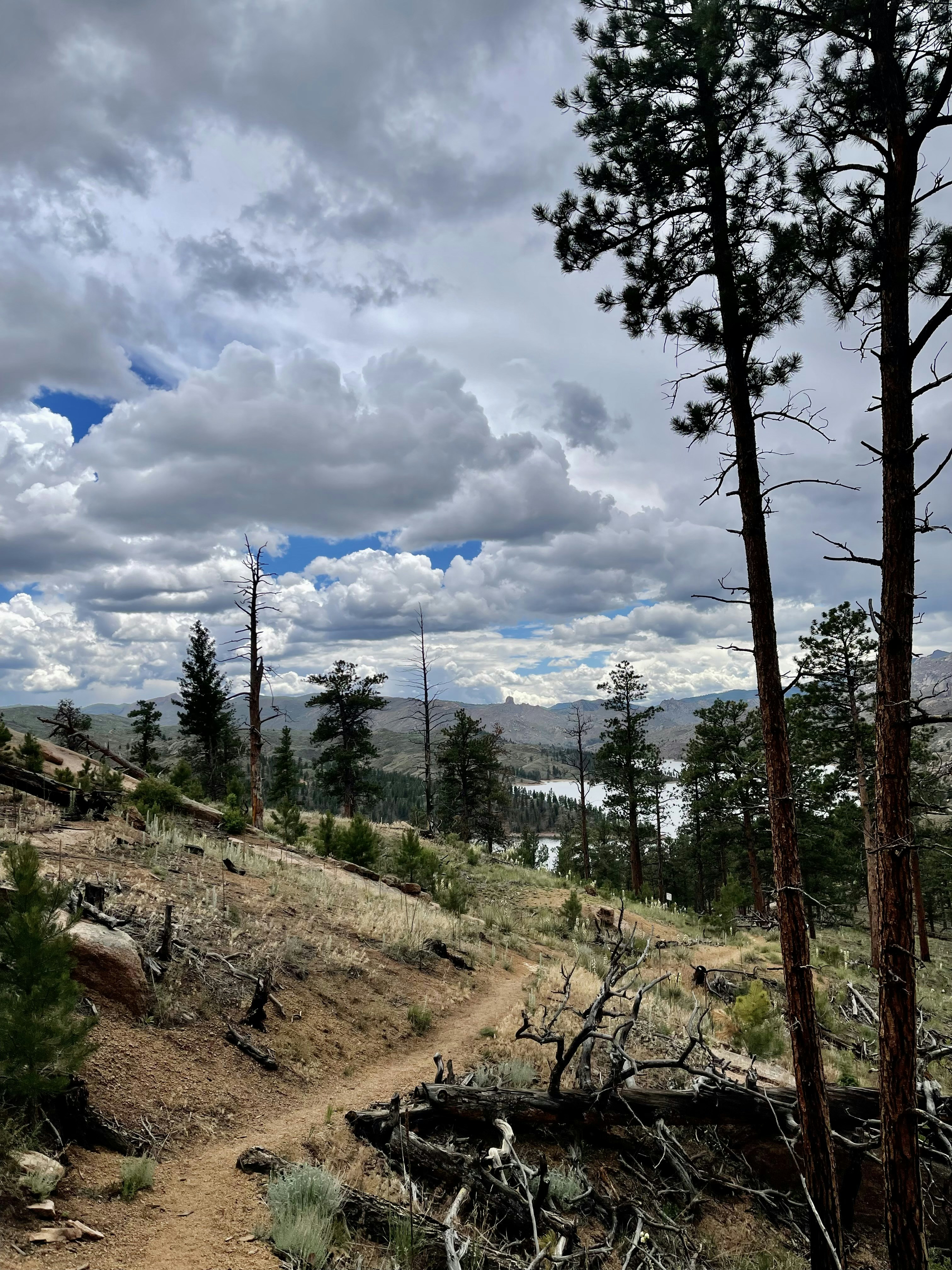 Photo by laitonbarbo