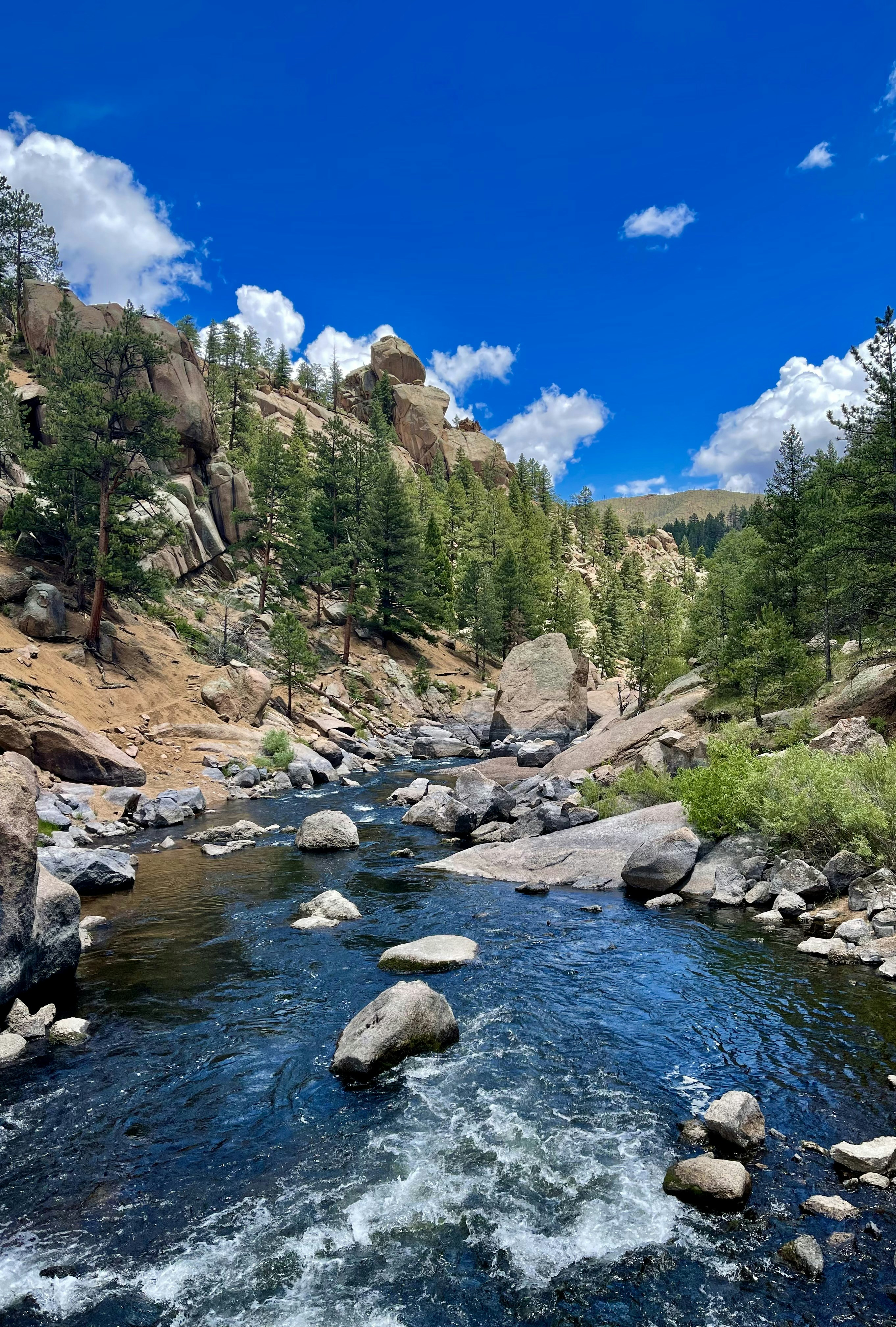 Photo by laitonbarbo