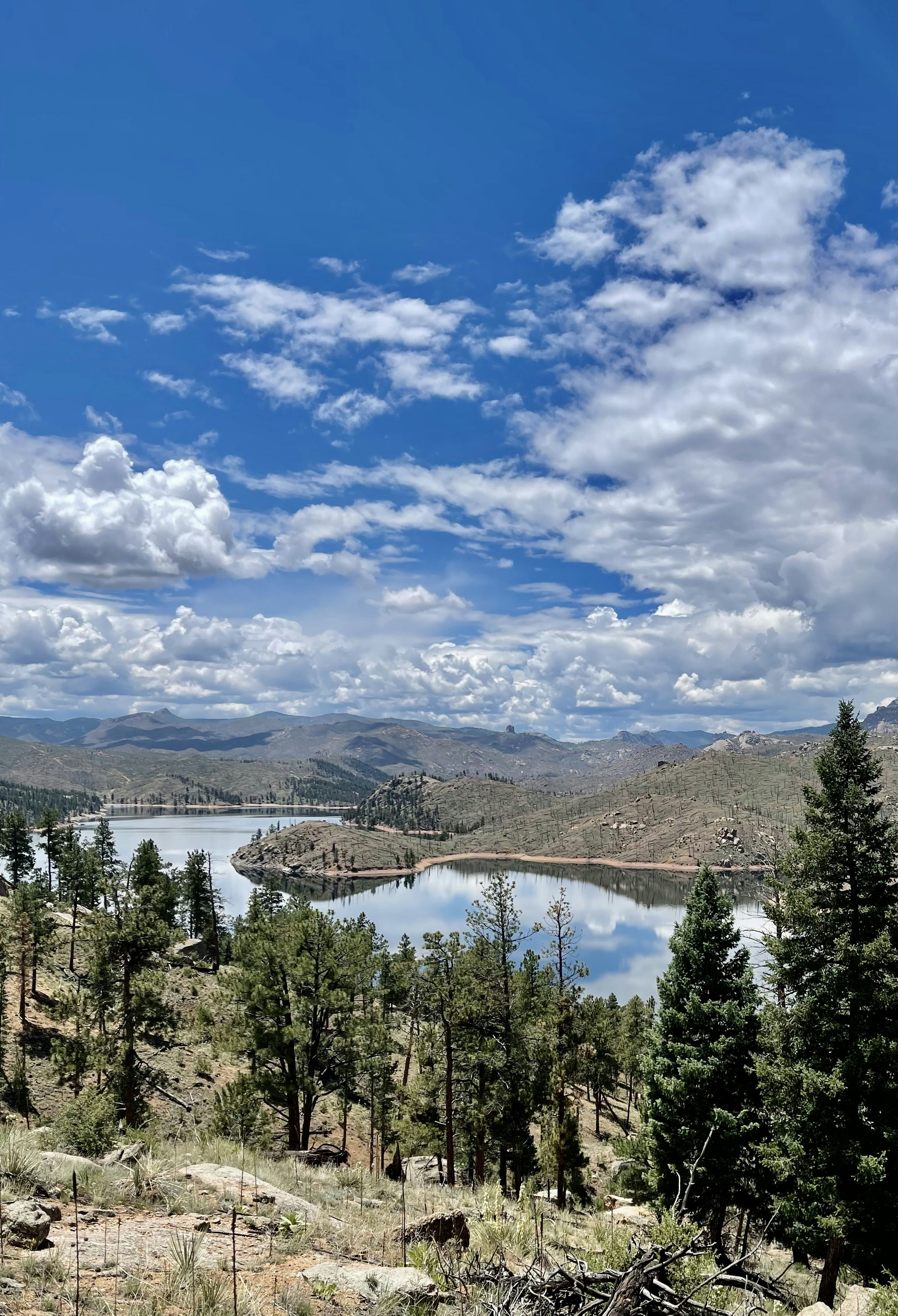 Photo by laitonbarbo