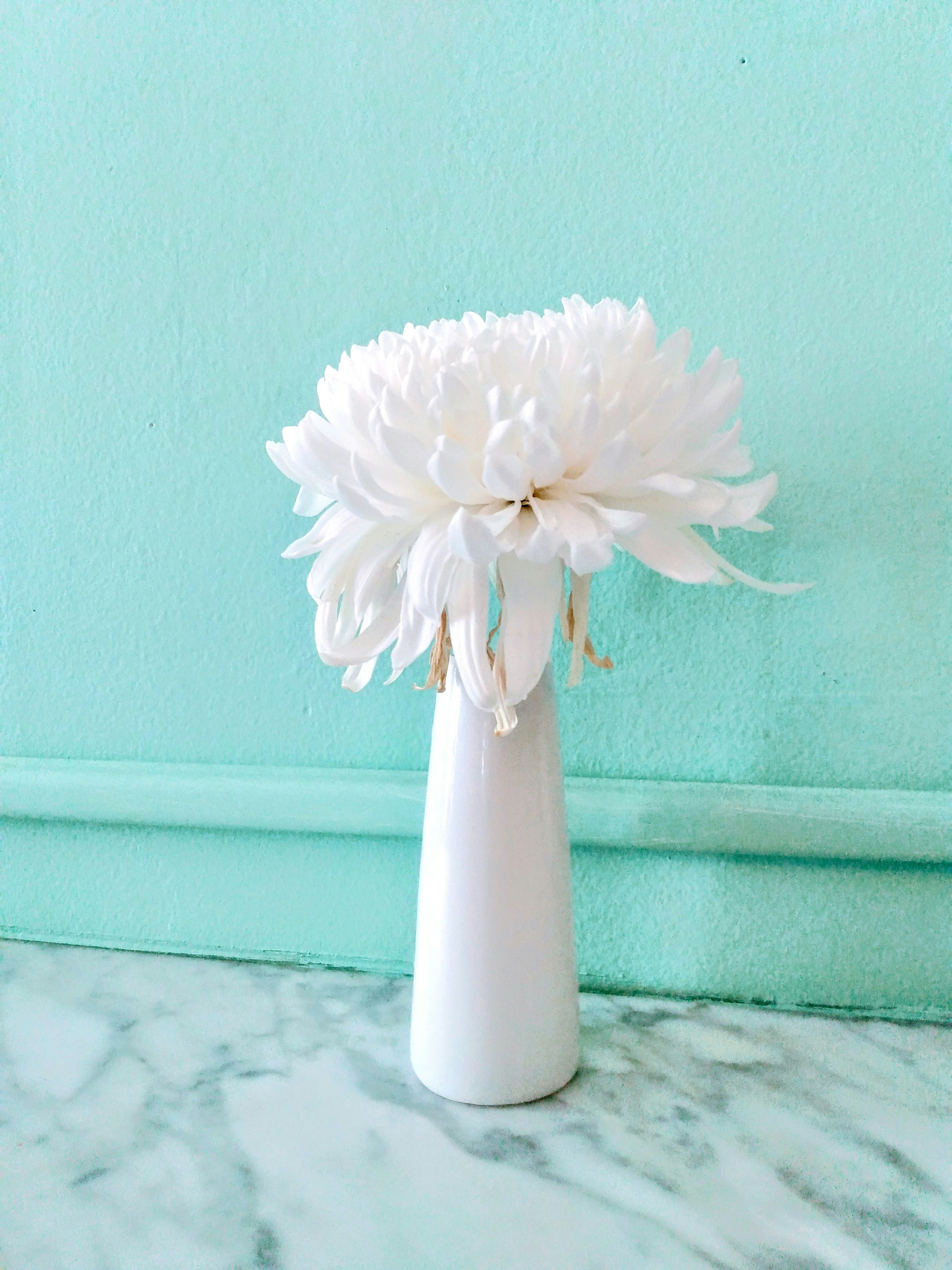 Elegant Marble Vase