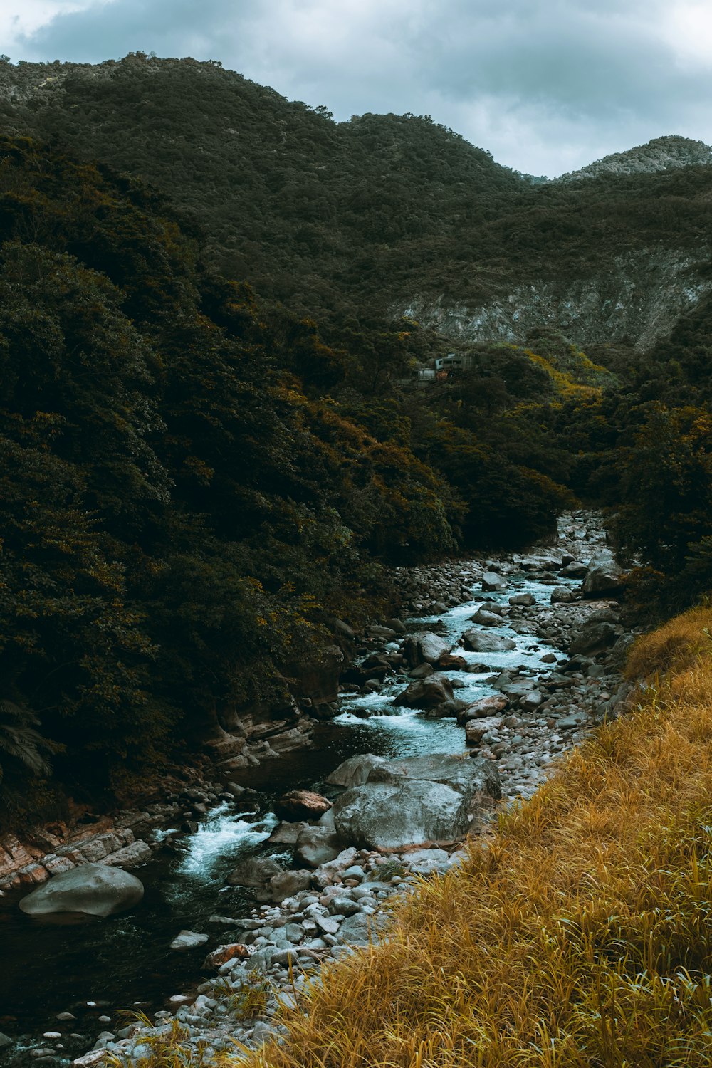 river in between green and brown grass field