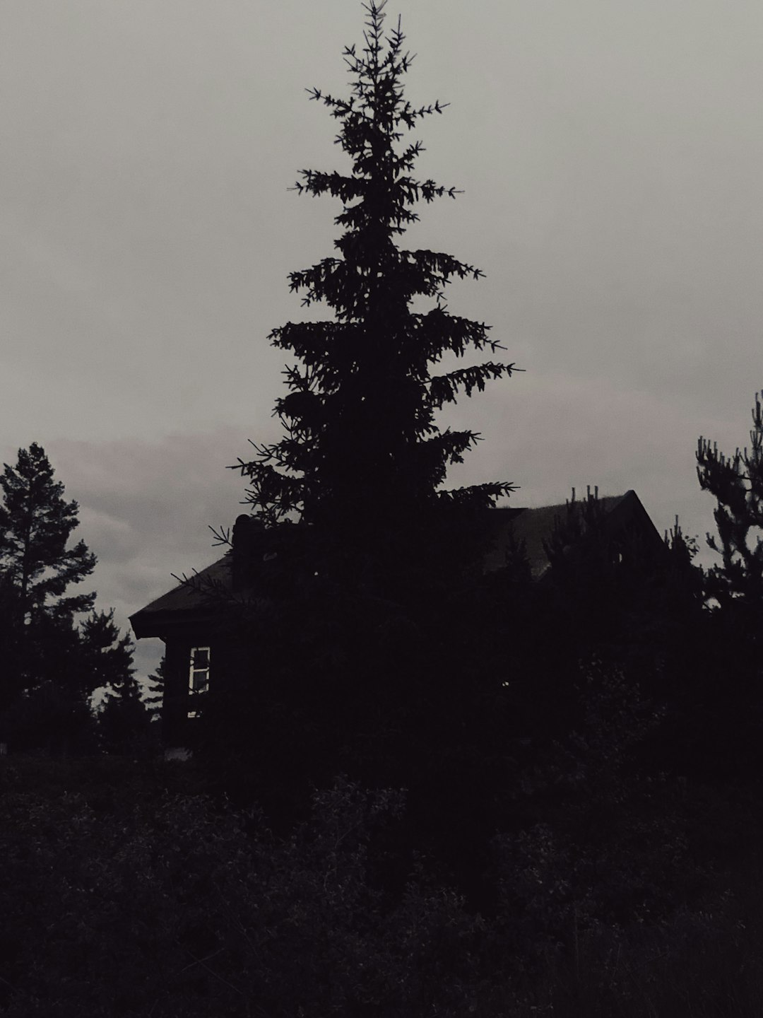 grayscale photo of house near tree