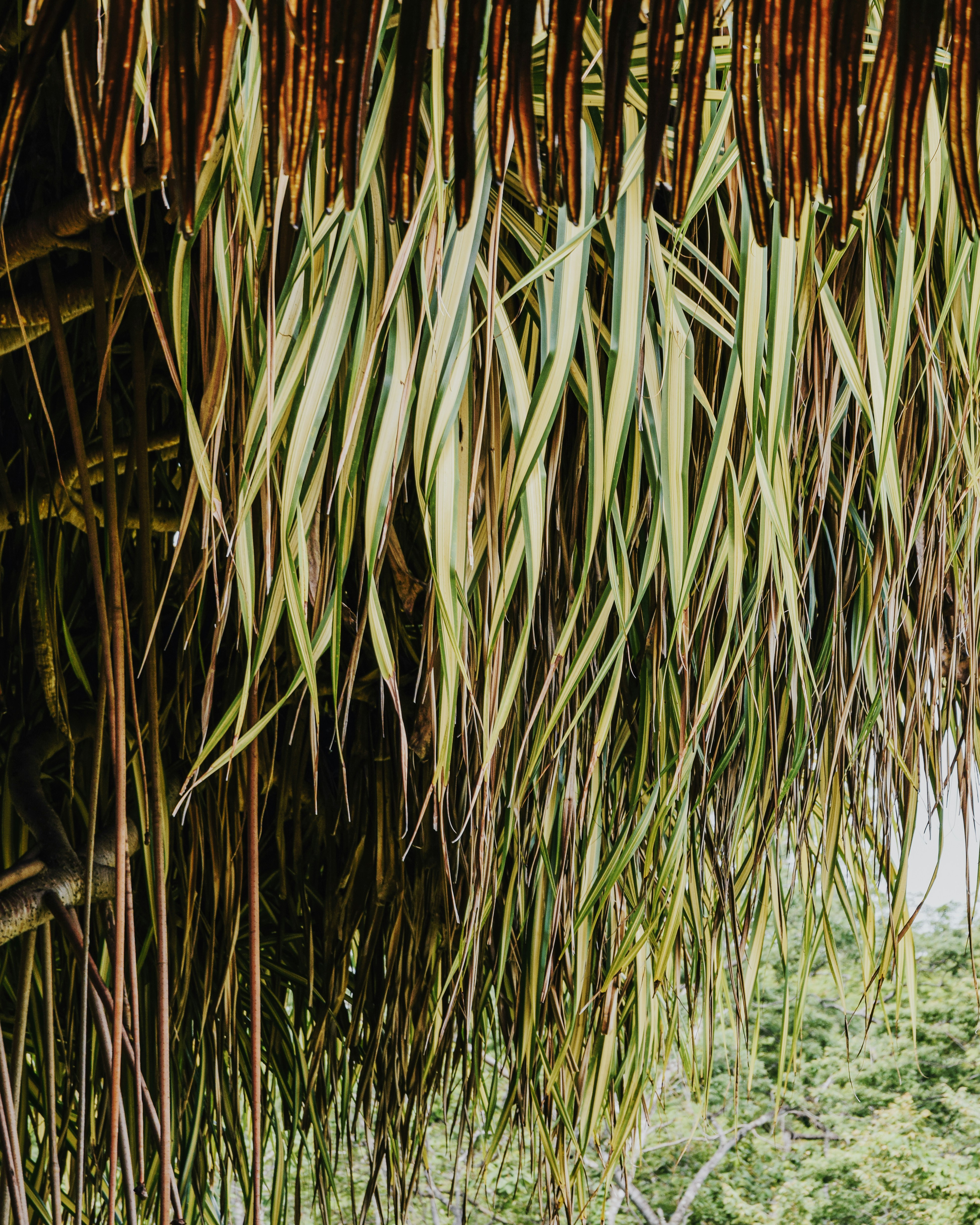 Photo by framesforyourheart