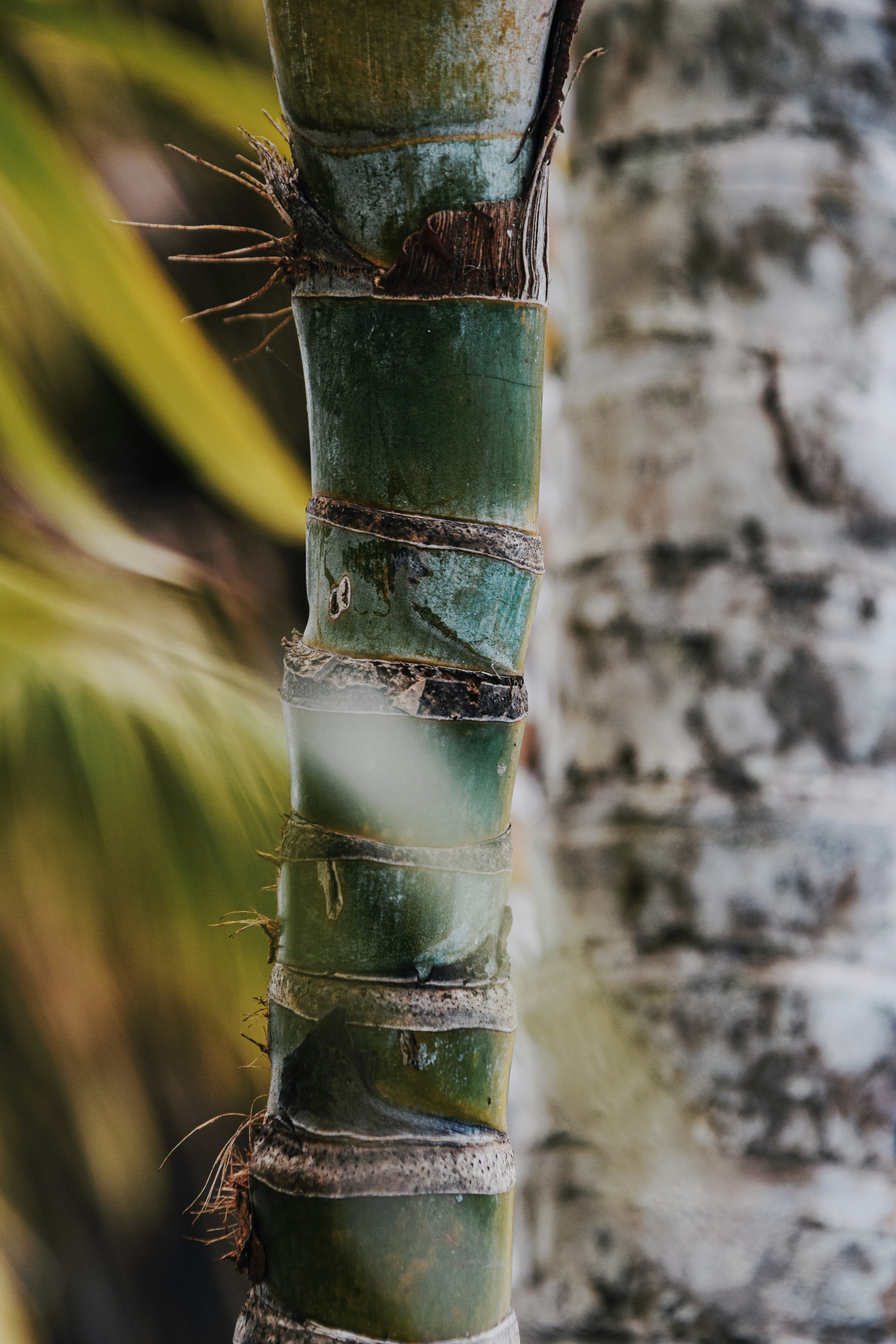 Photo by framesforyourheart