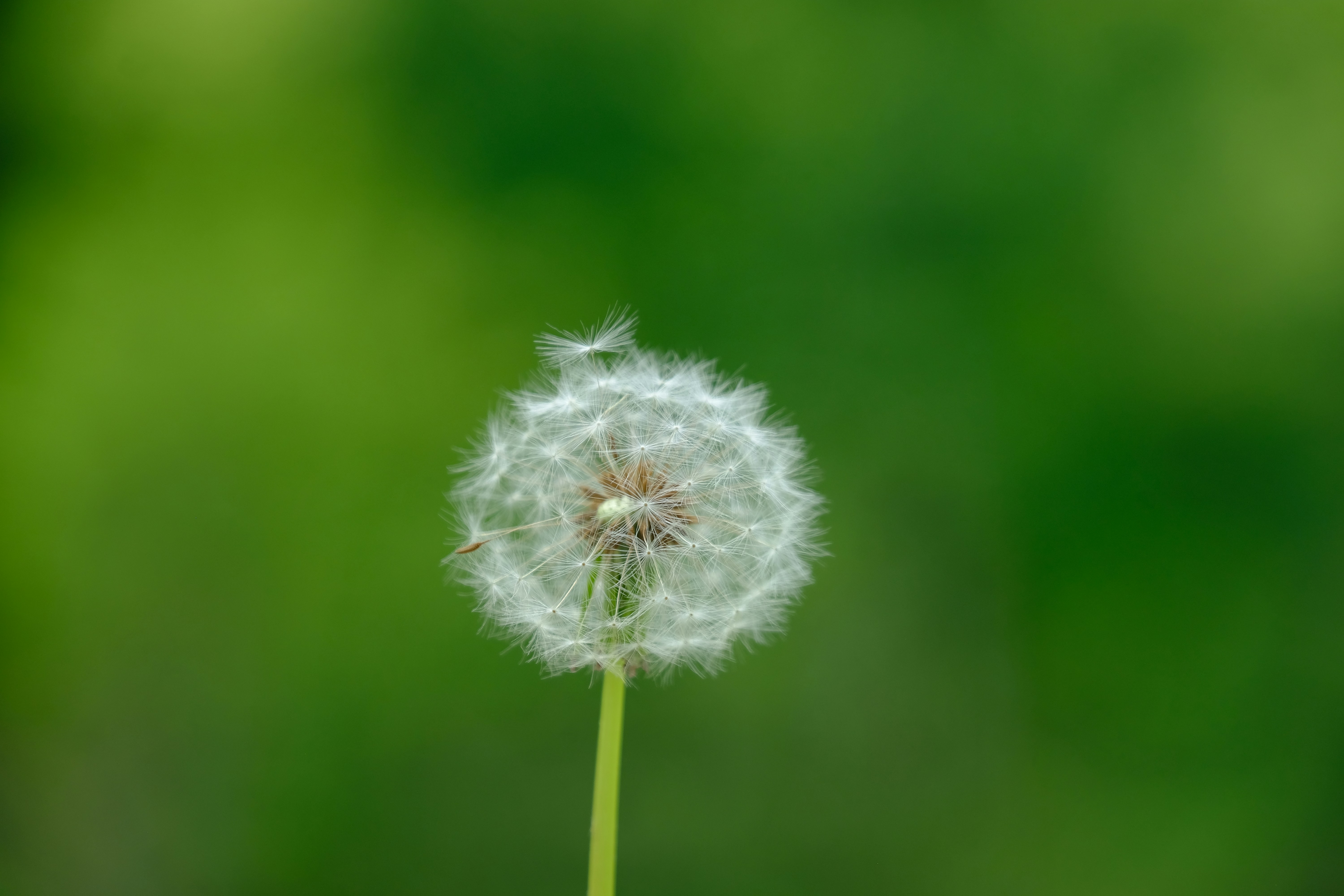 Photo by casablanca1942