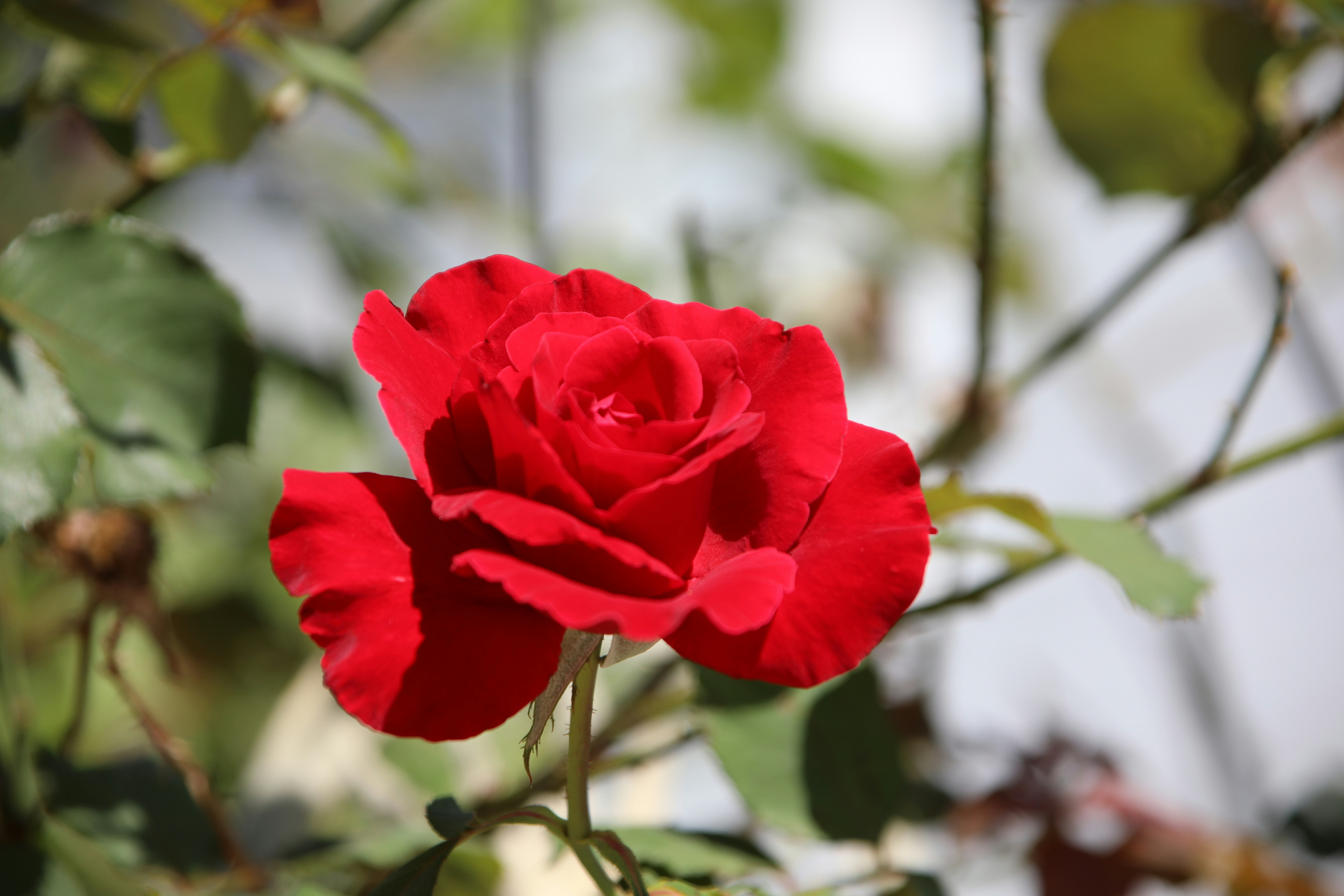 Photo by dpreacherdawn