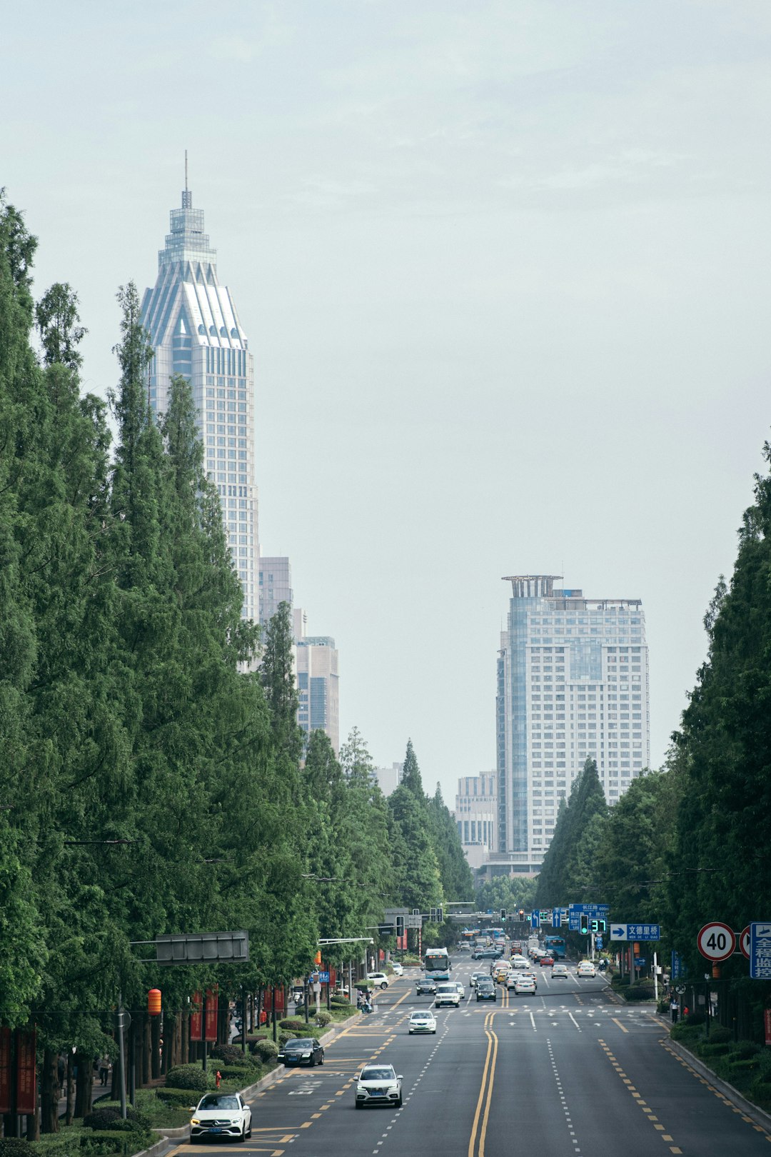 cars on road near trees and buildings during daytime