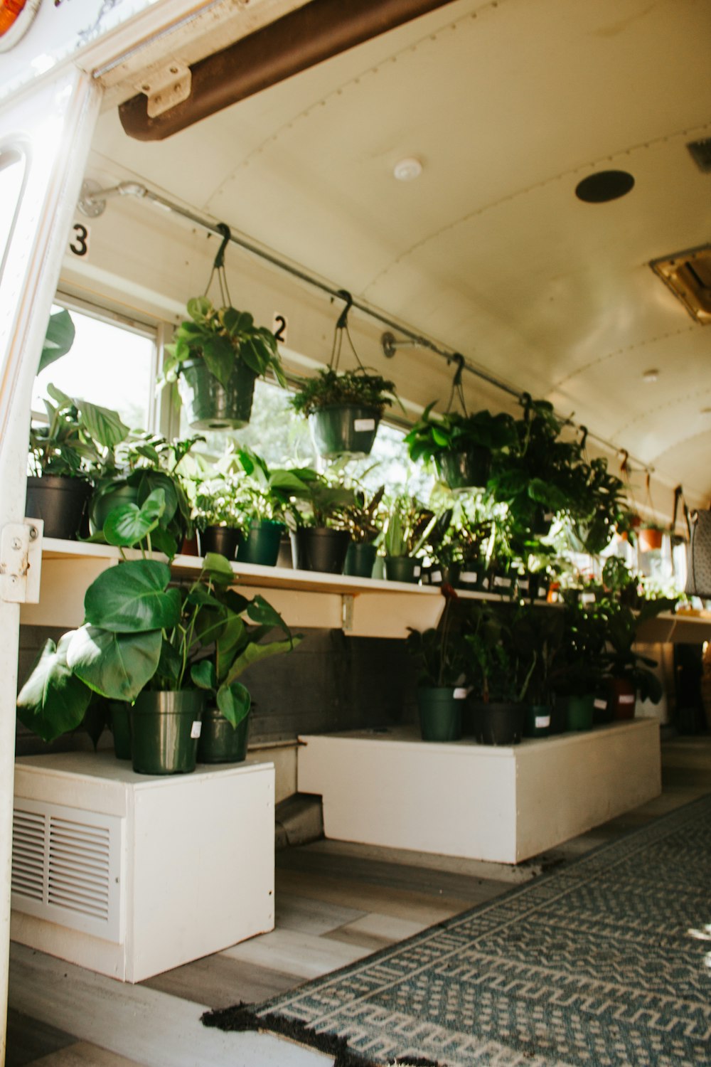 plantes vertes sur table en bois blanc