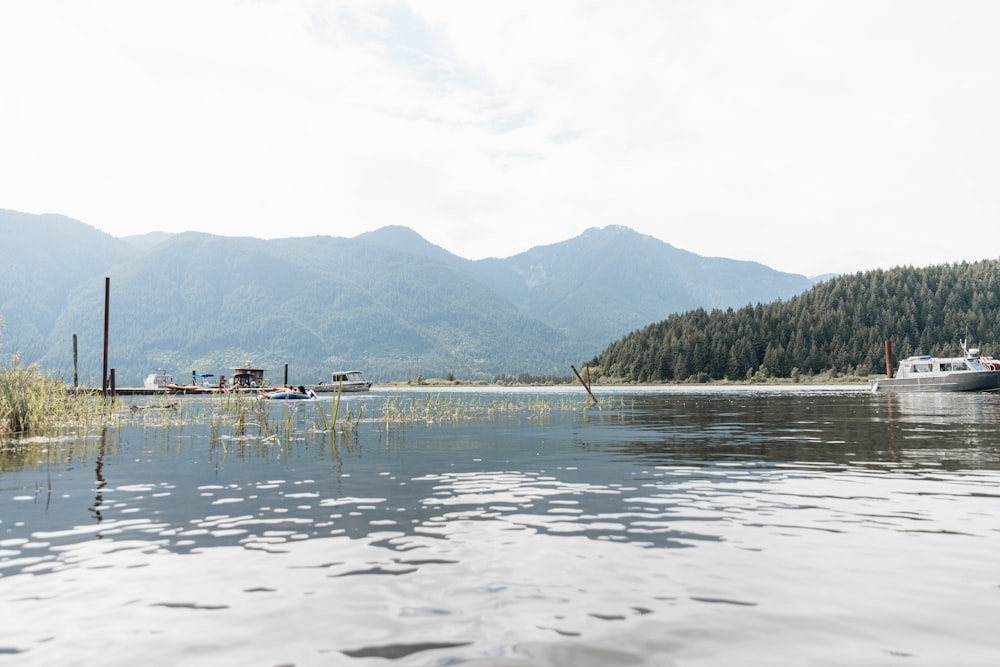 body of water near green trees and mountain during daytime