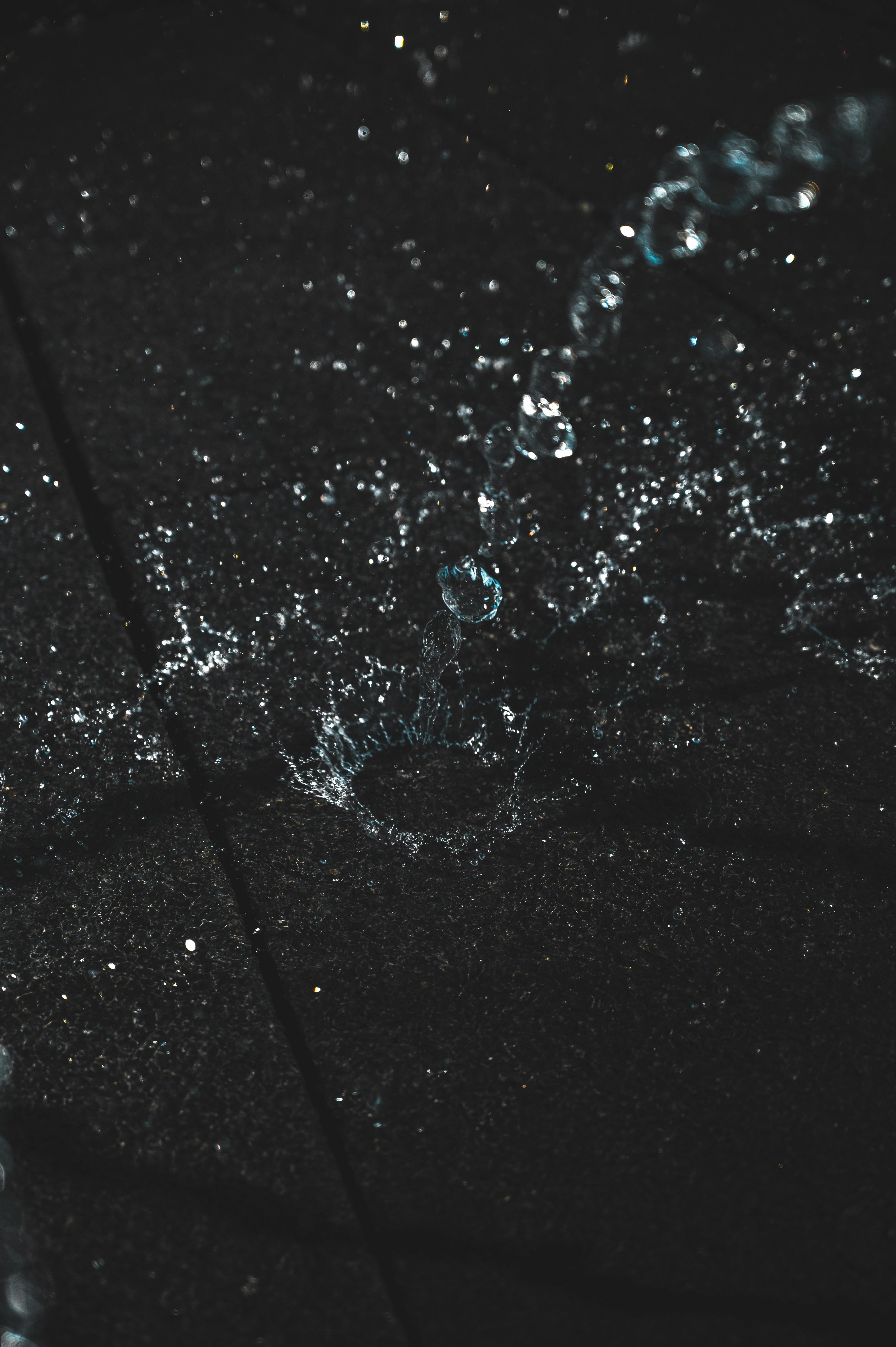 Photo by ryunosuke_kikuno