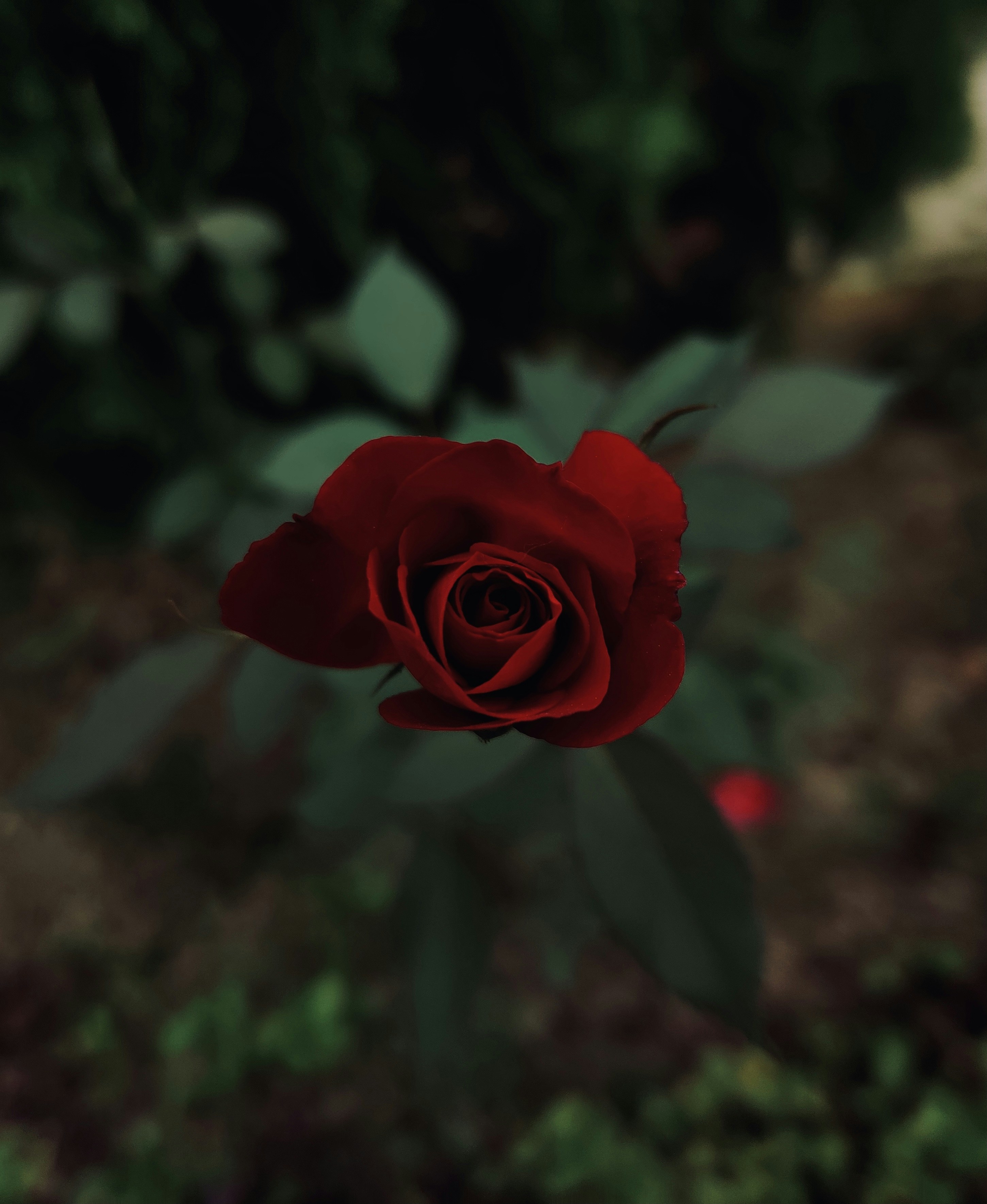 Photo by aryasphotodiary