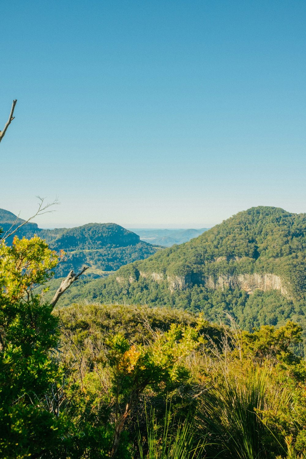 green trees on mountain under blue sky during daytime