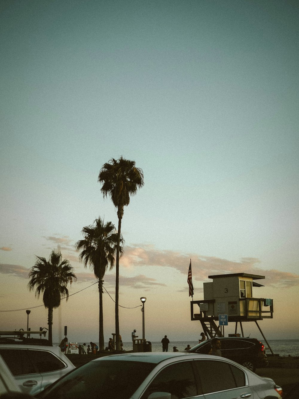 palm trees near building during daytime