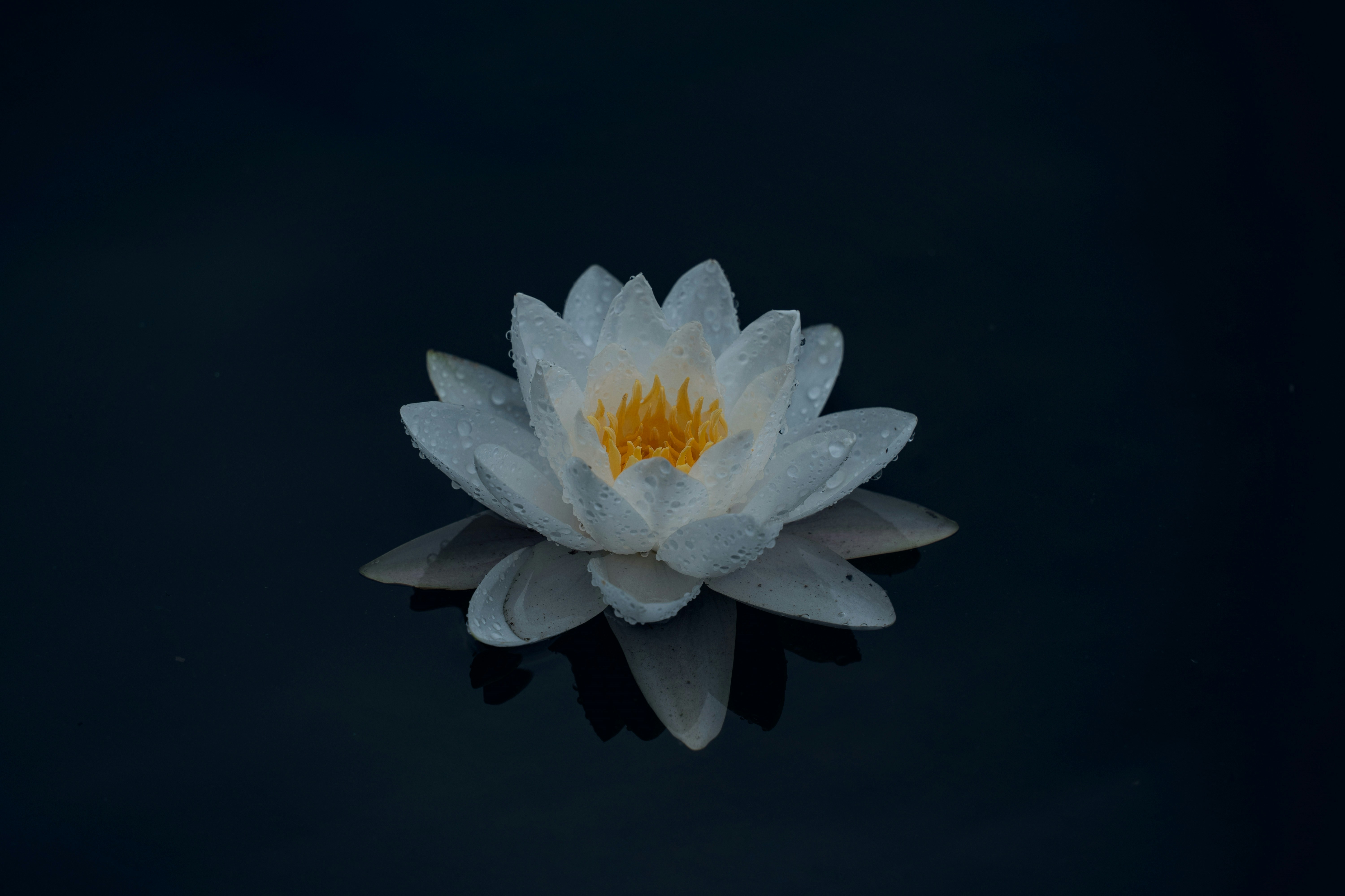 Photo by chengfengrecord