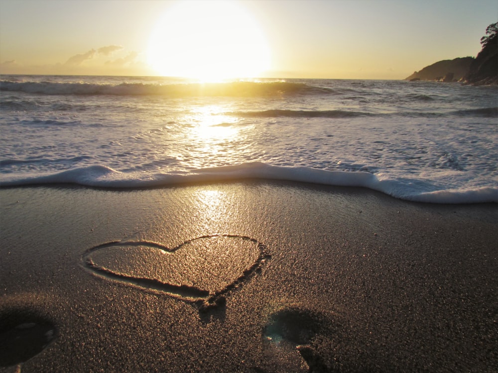 brown sand beach during sunset