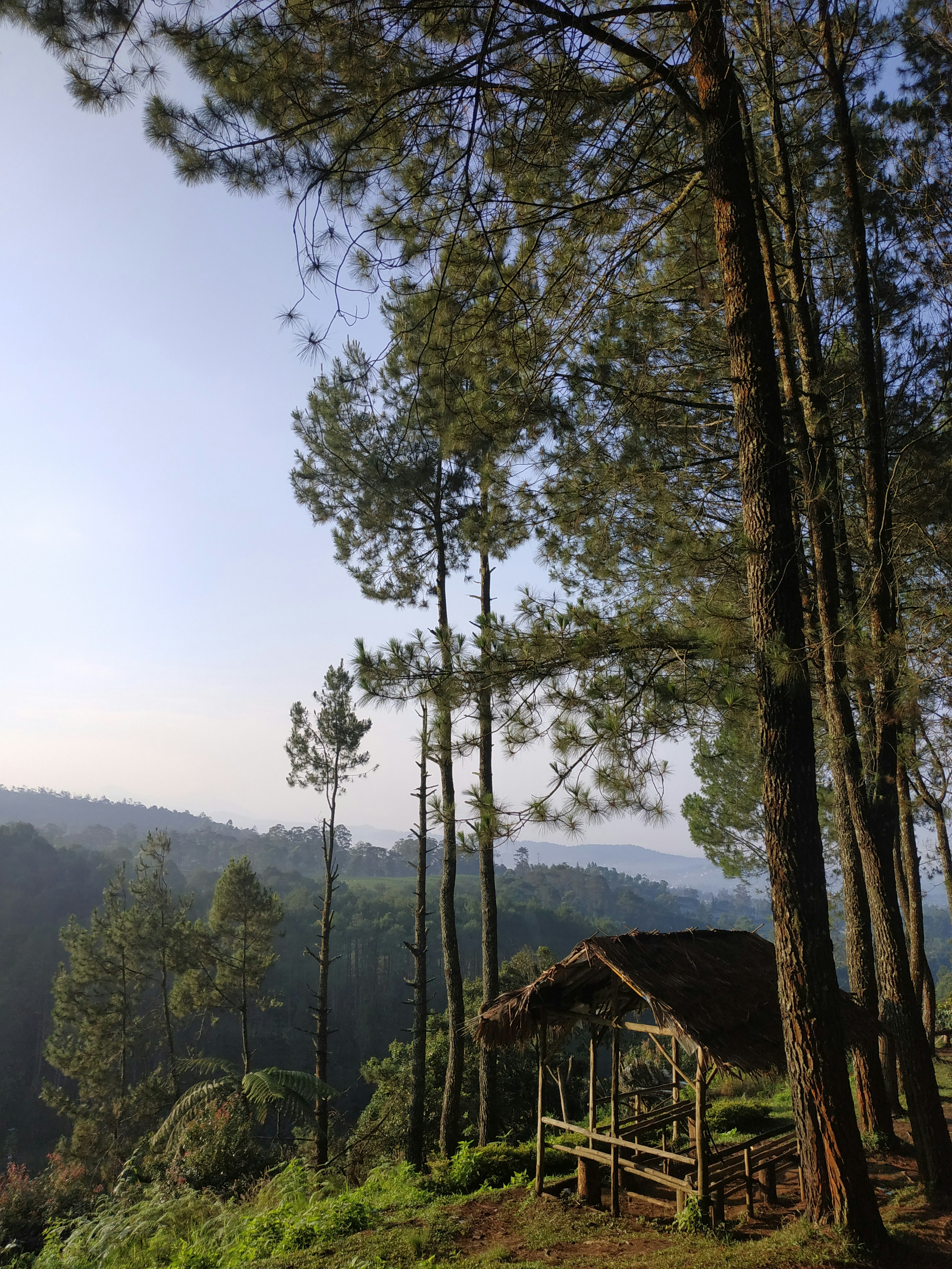Photo by tegarsuryak