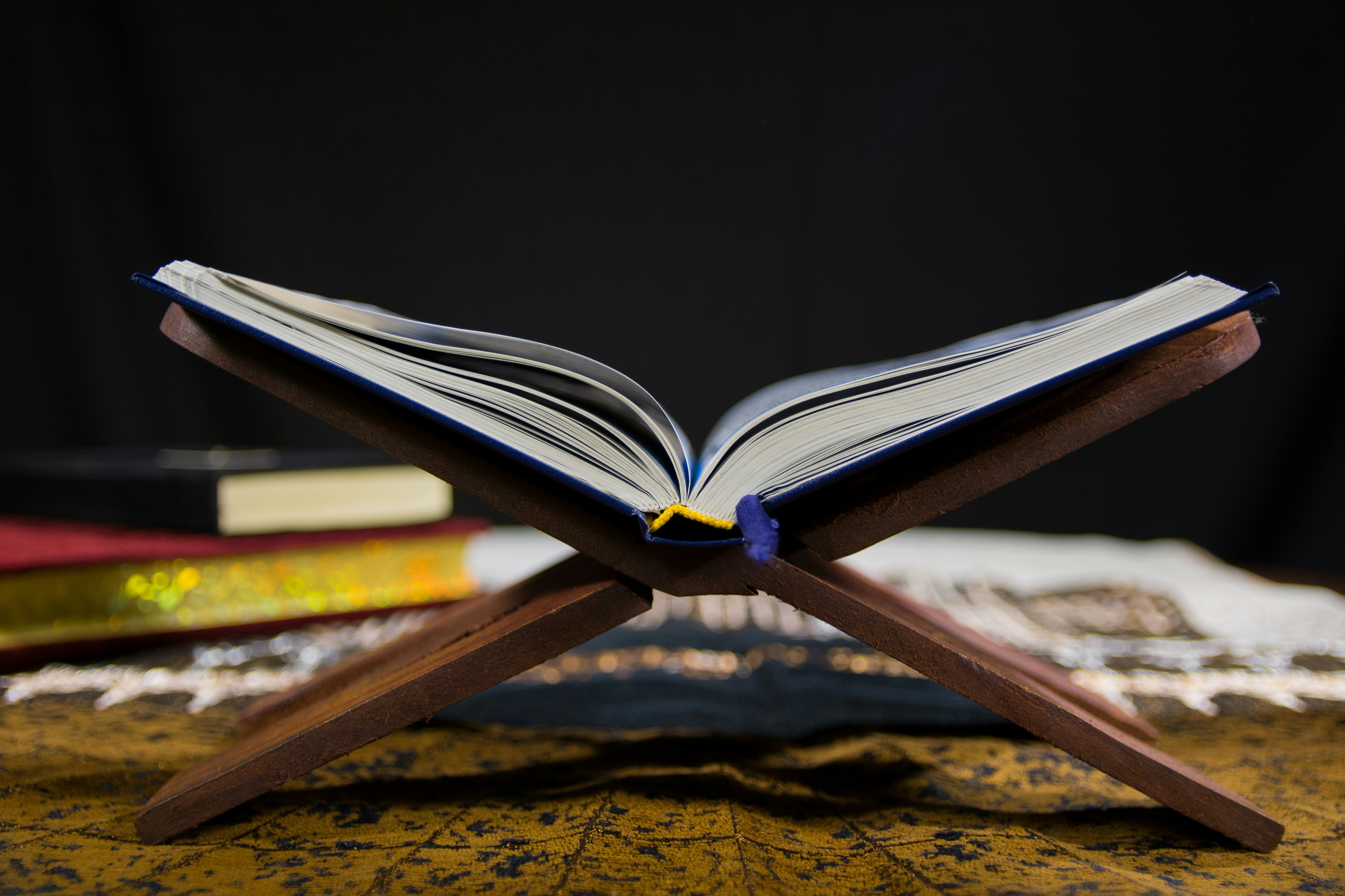 Cursos Online Católicos Evangelizadores