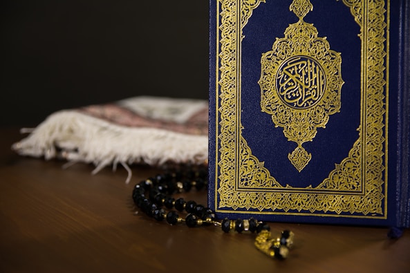 blue and gold book on white textile