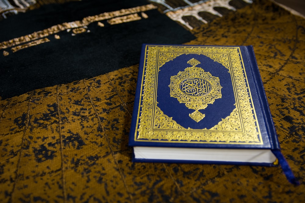 blue and gold book on brown and black textile
