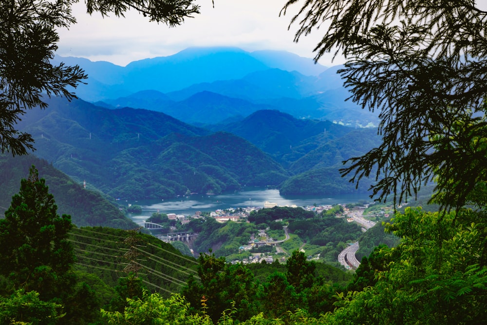 green trees near mountains during daytime