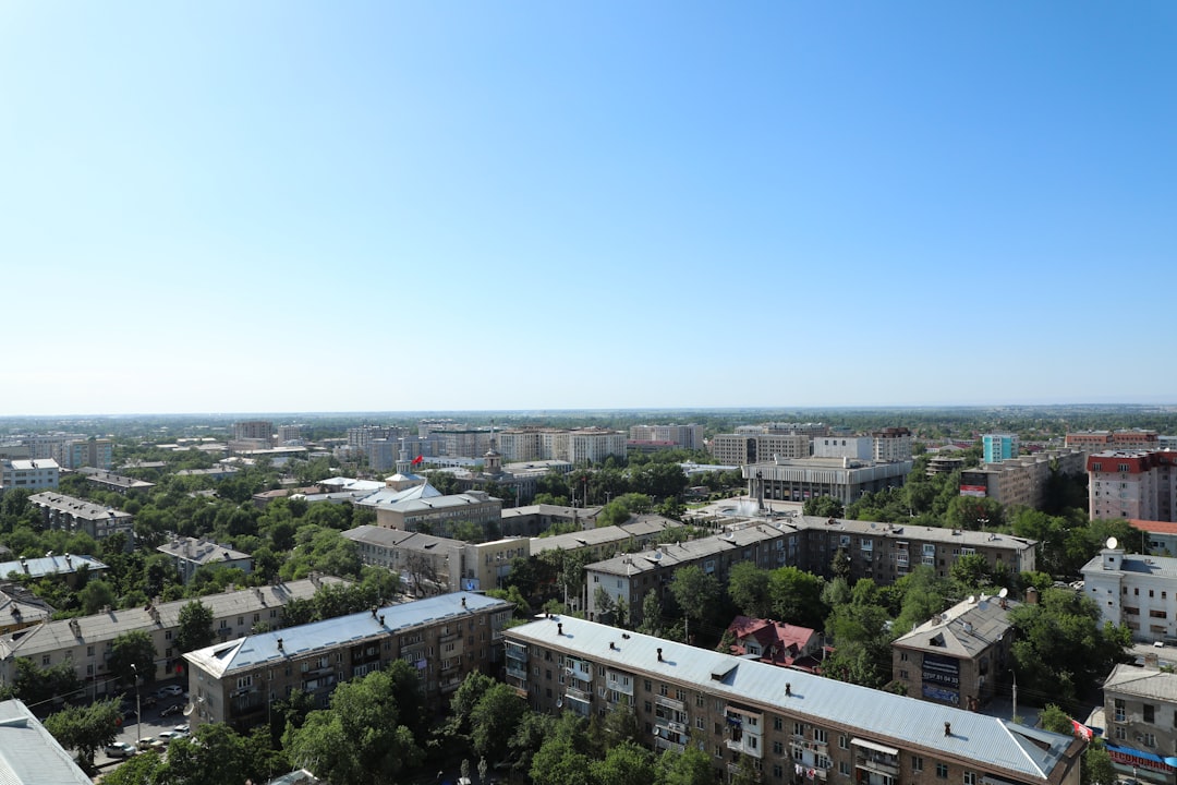 aerial view of city during daytime