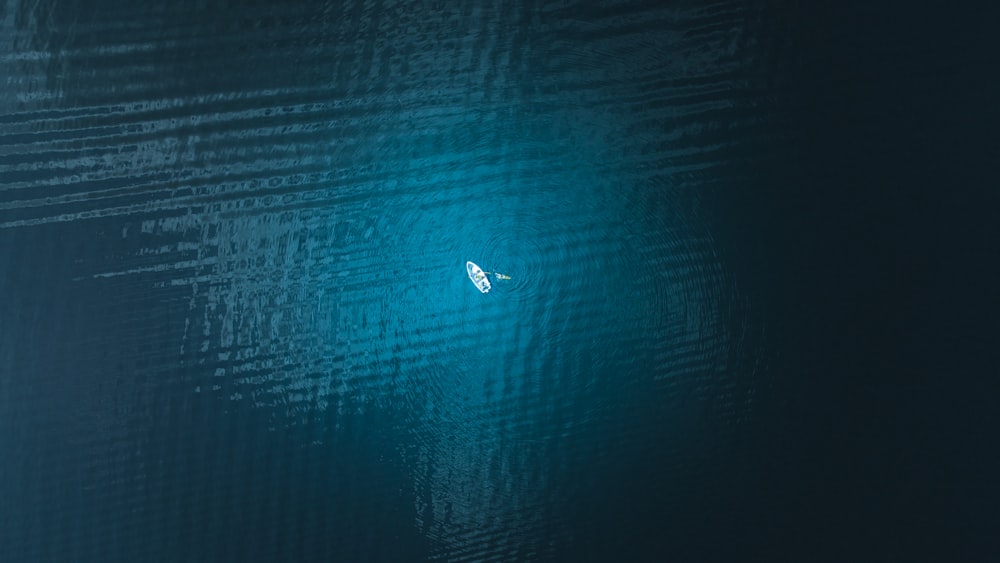 white bird flying over the sea