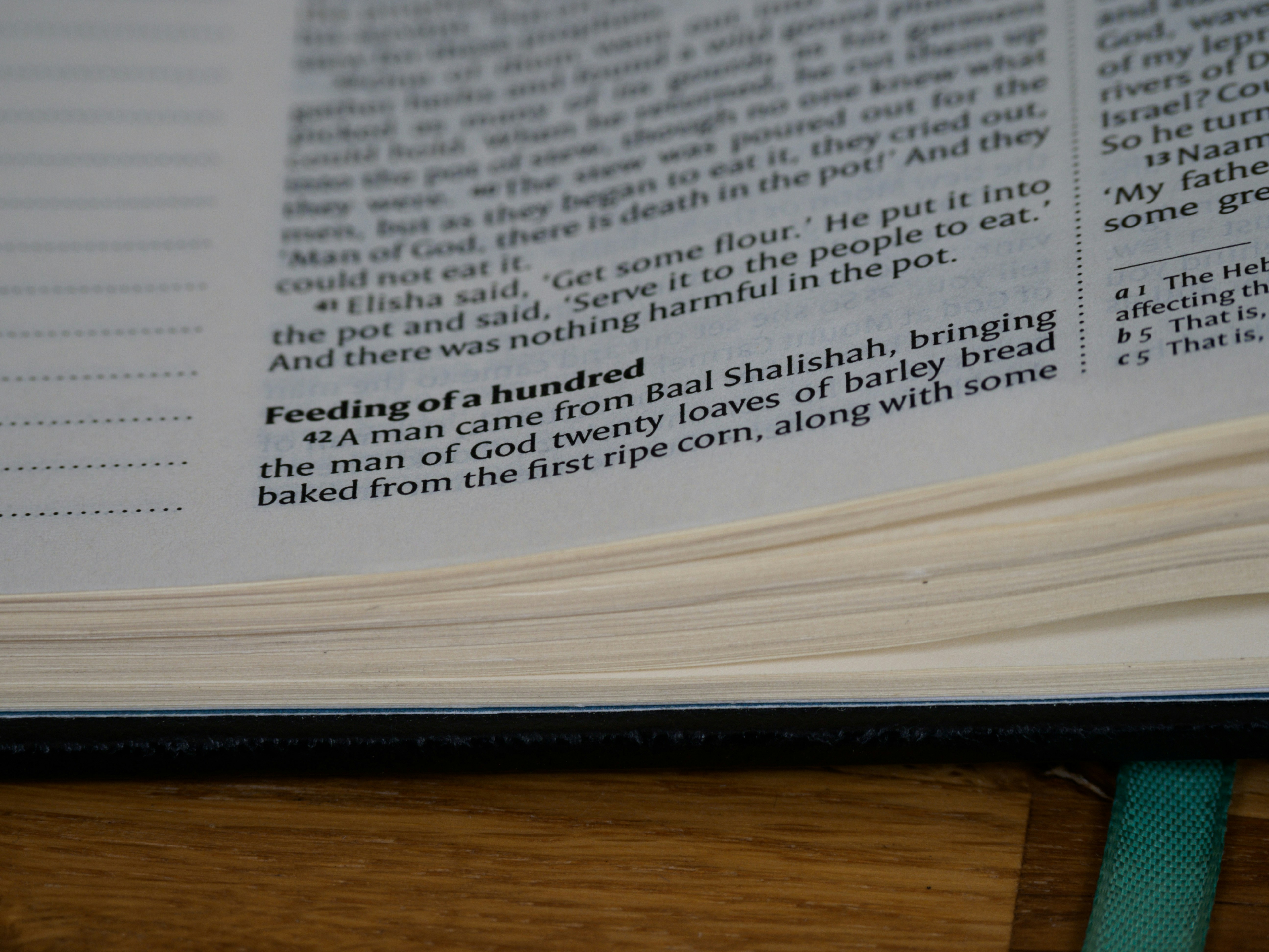 Photo by brett_jordan